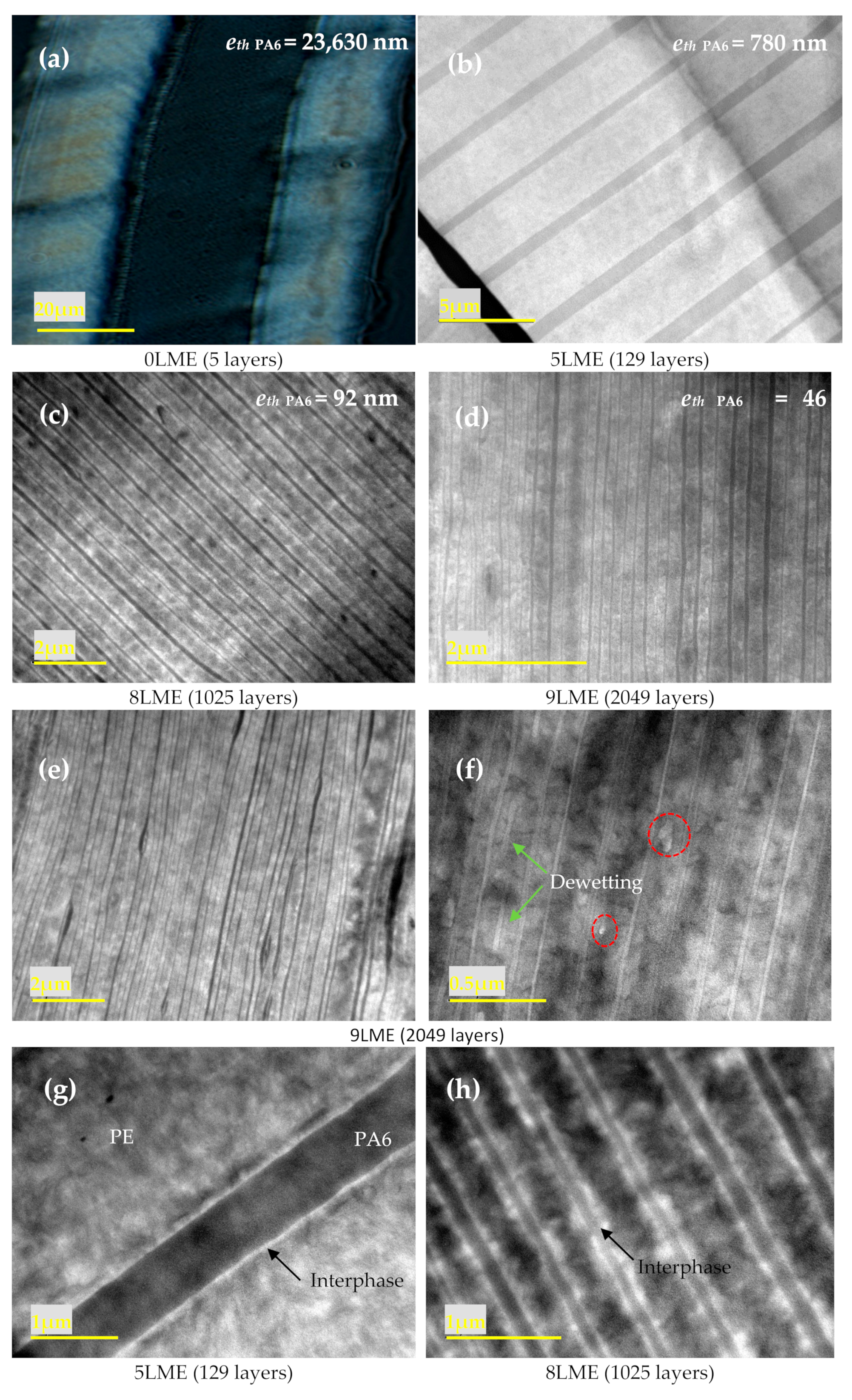 Membranes 11 00075 g002 Membranes 11 00075 g002