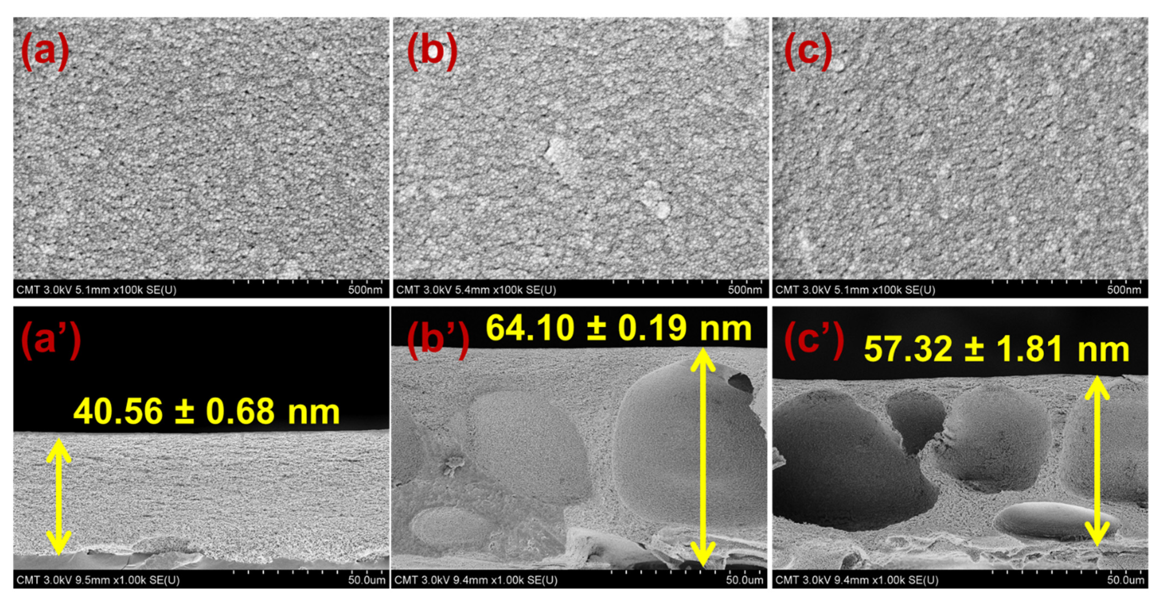 Membranes 11 00080 g002