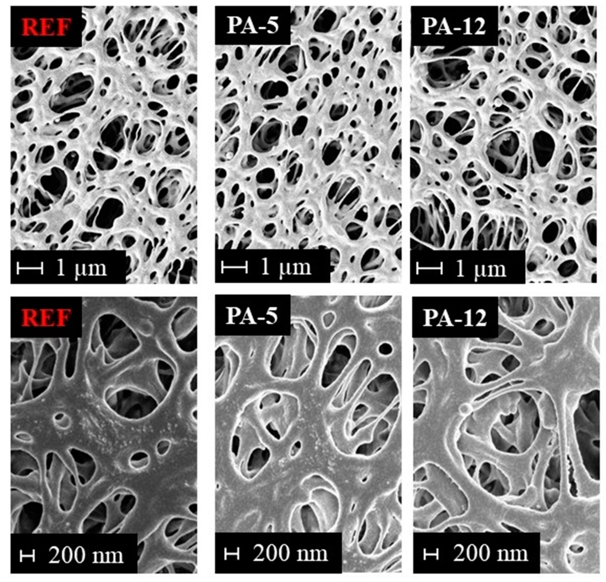 Membranes 11 00099 g004