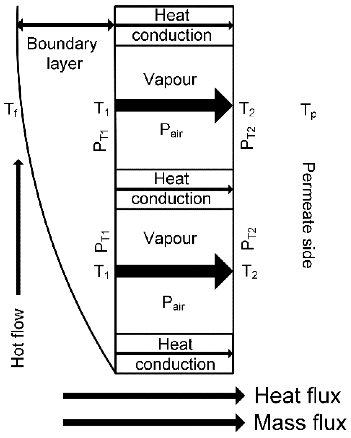 Membranes 11 00122 g001
