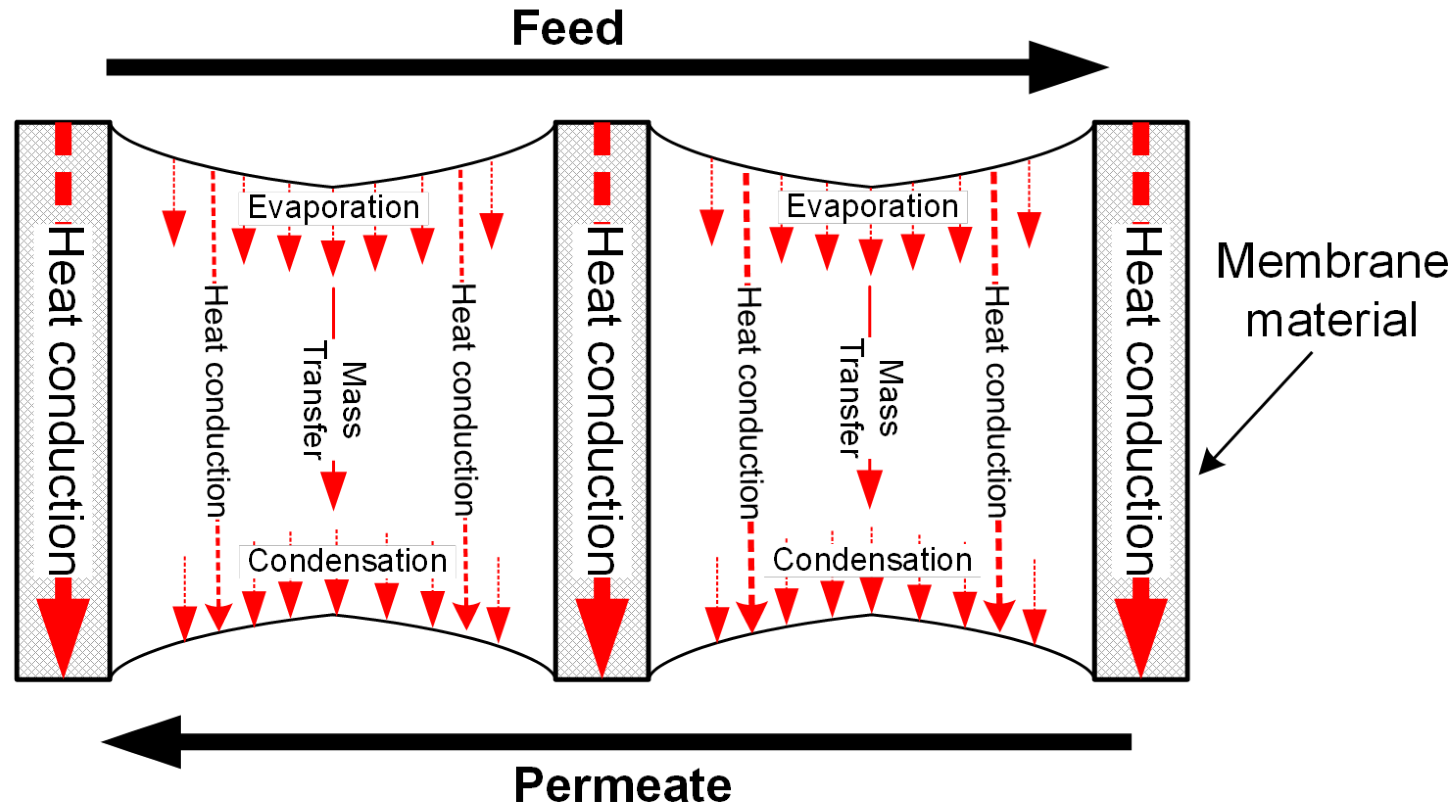 Membranes 11 00122 g003