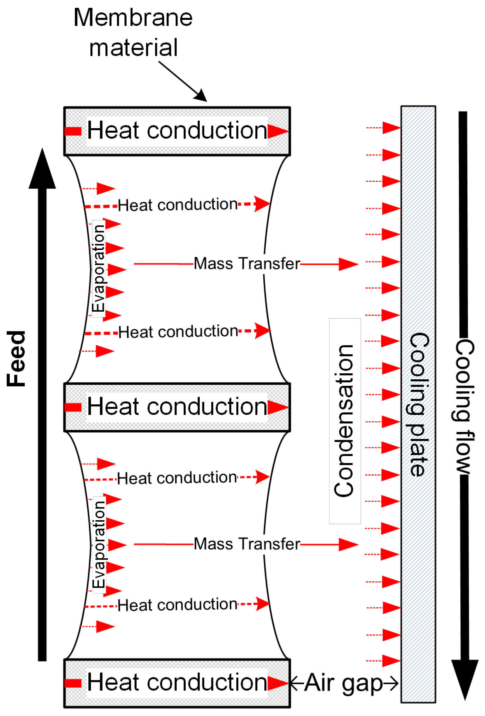 Membranes 11 00122 g004