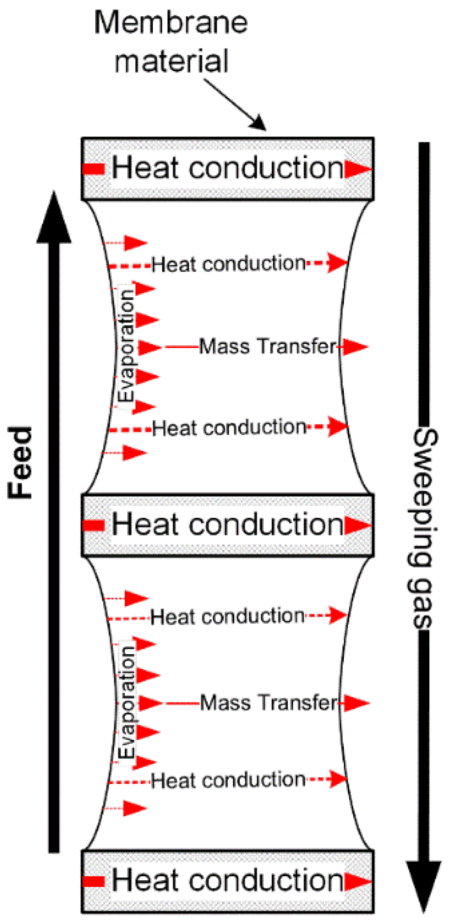 Membranes 11 00122 g005