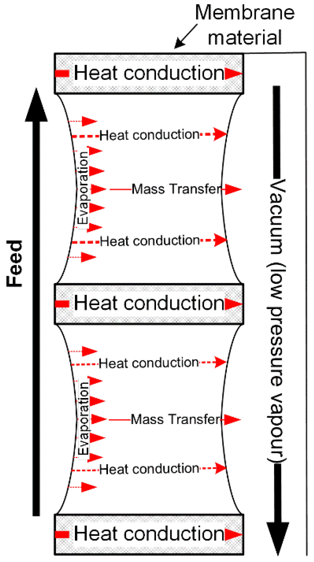 Membranes 11 00122 g006