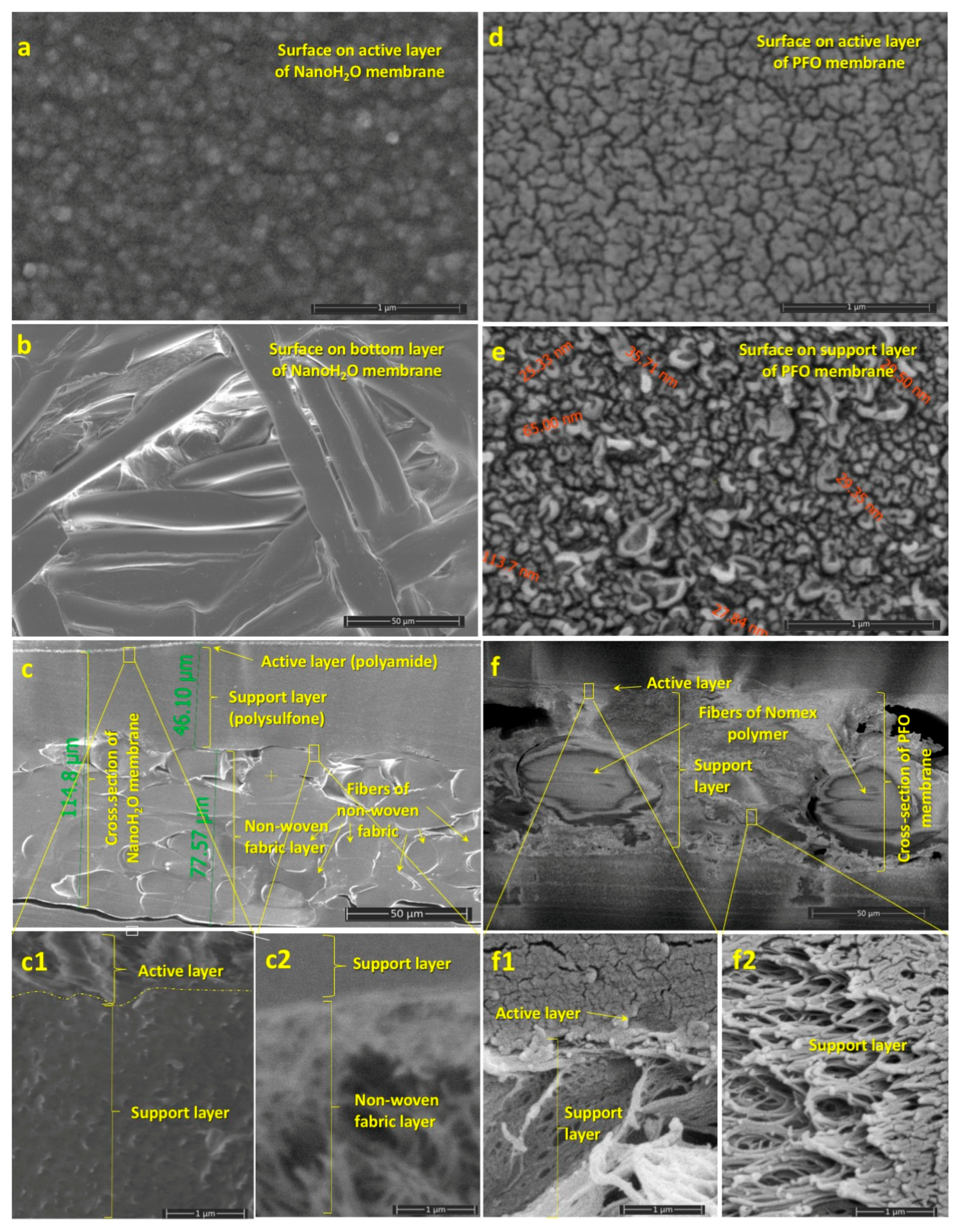 Membranes 11 00128 g001 Membranes 11 00128 g001