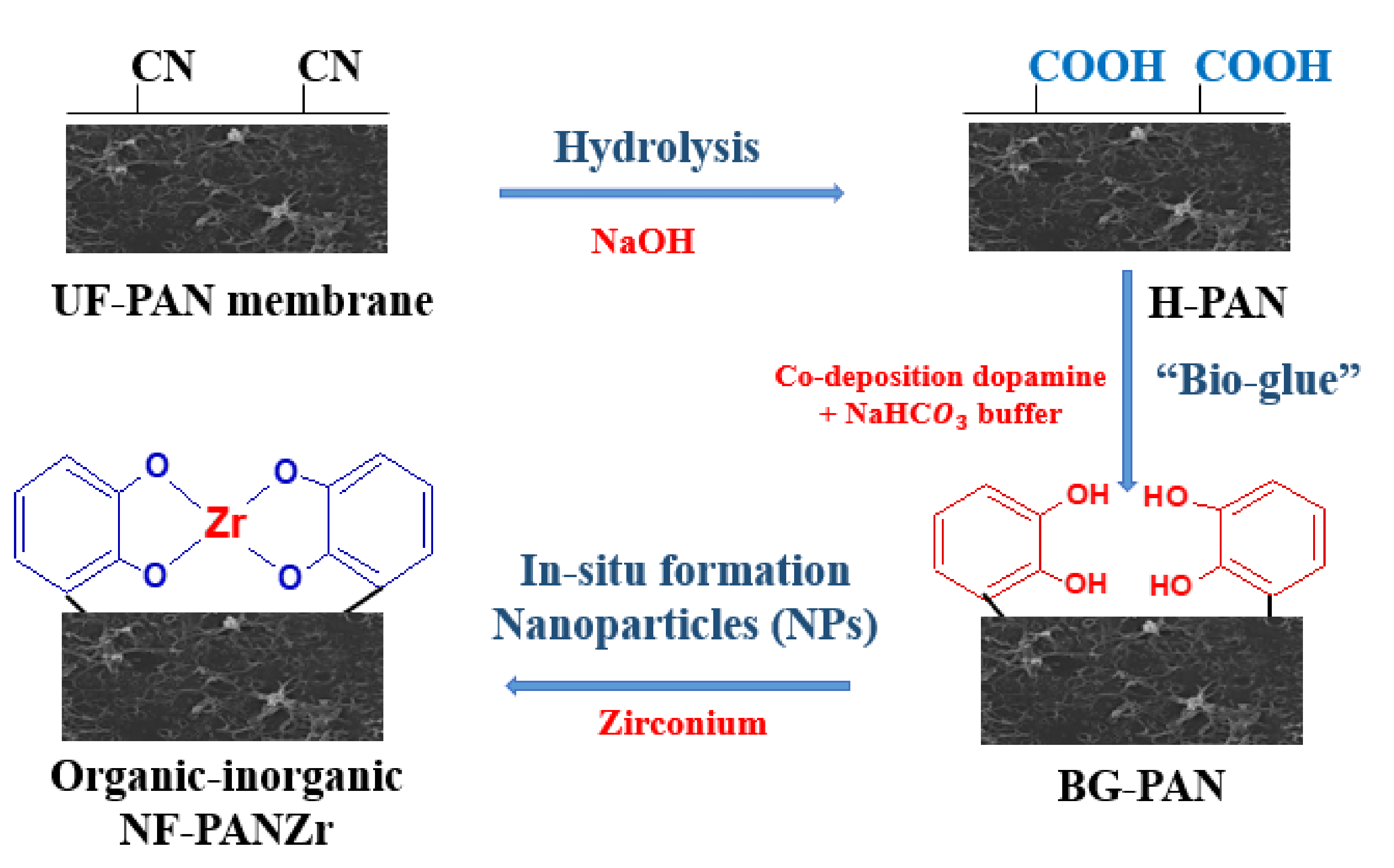 Membranes 11 00130 g003 Membranes 11 00130 g003