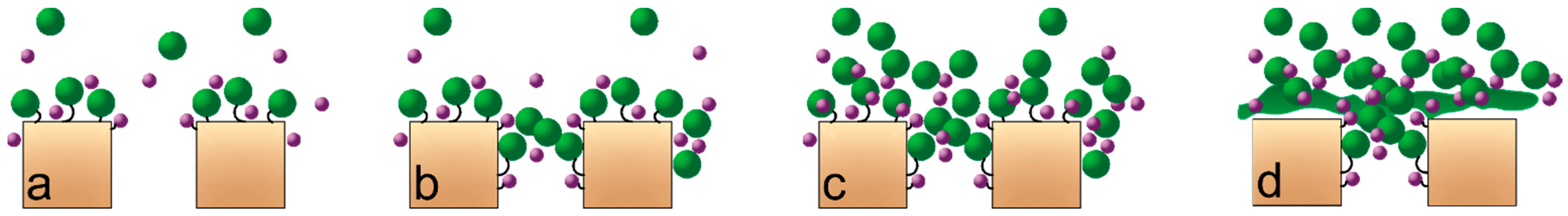 Membranes 11 00131 g001