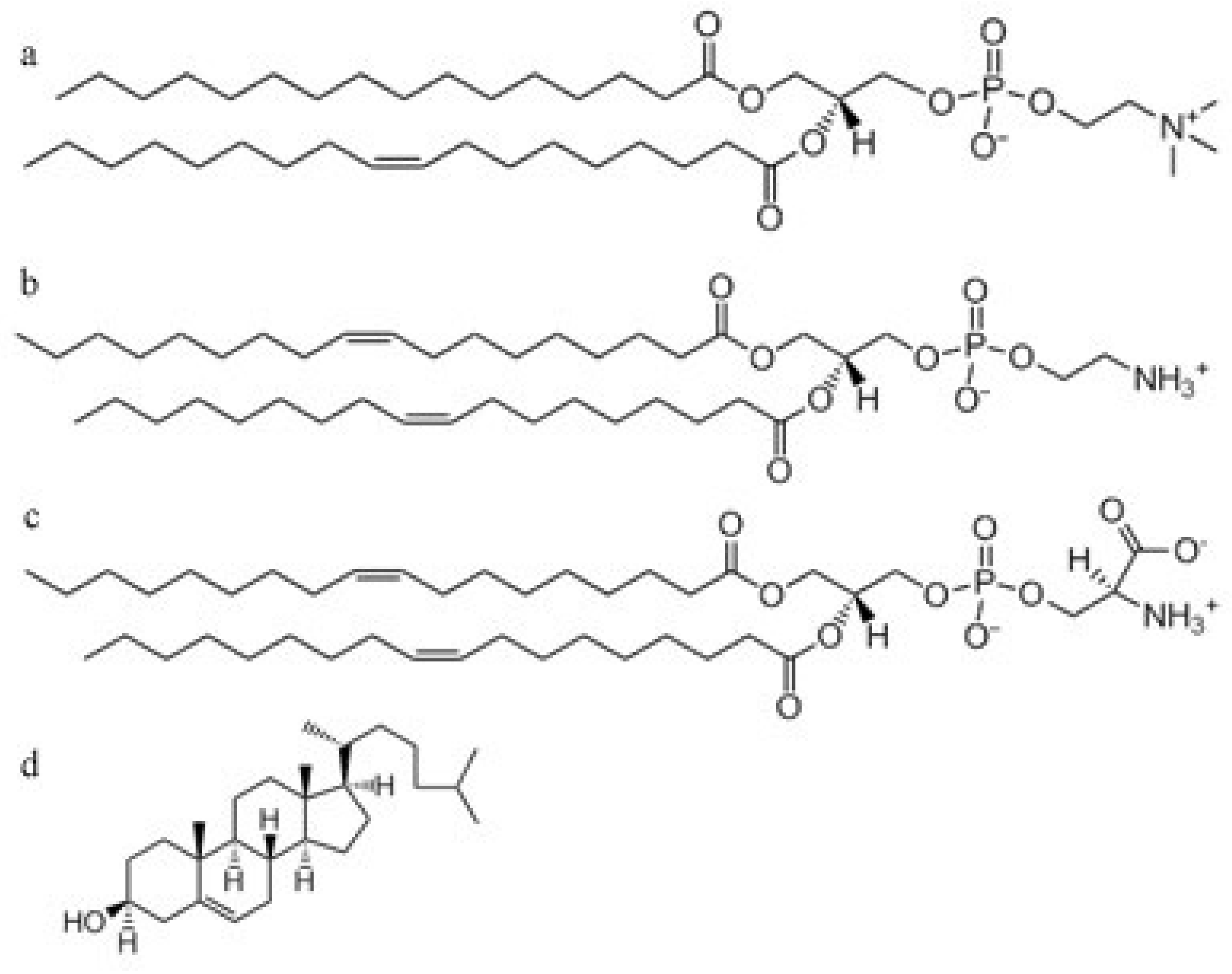 Membranes 11 00132 g002