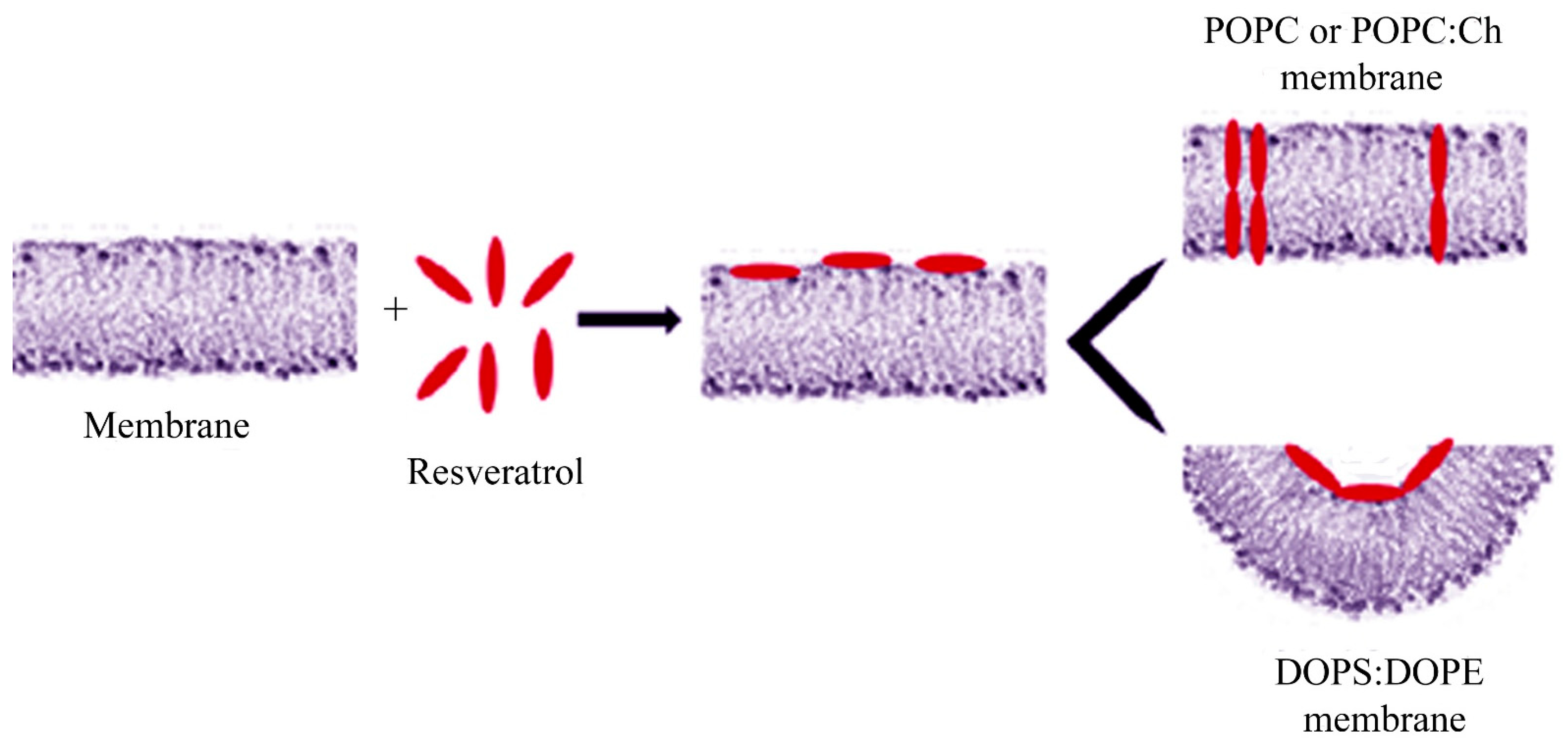 Membranes 11 00132 g006