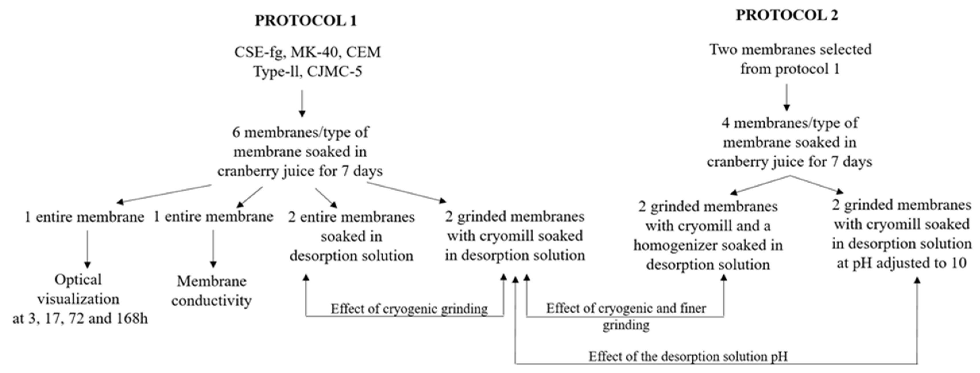 Membranes 11 00136 g001 Membranes 11 00136 g001
