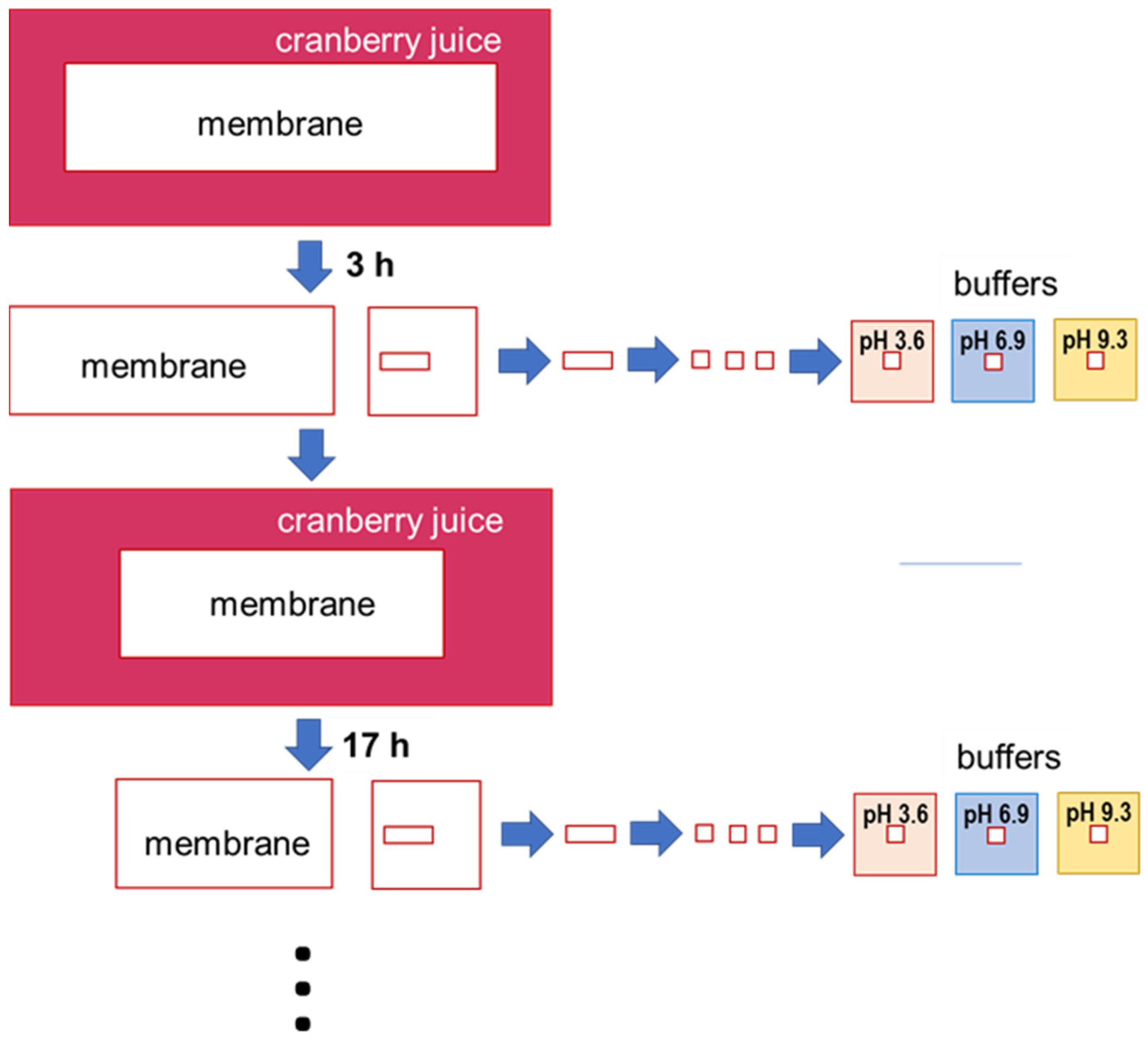 Membranes 11 00136 g002 Membranes 11 00136 g002