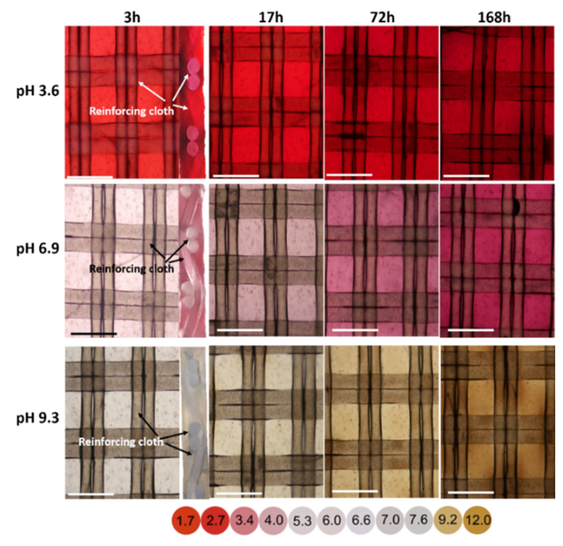 Membranes 11 00136 g006 Membranes 11 00136 g006