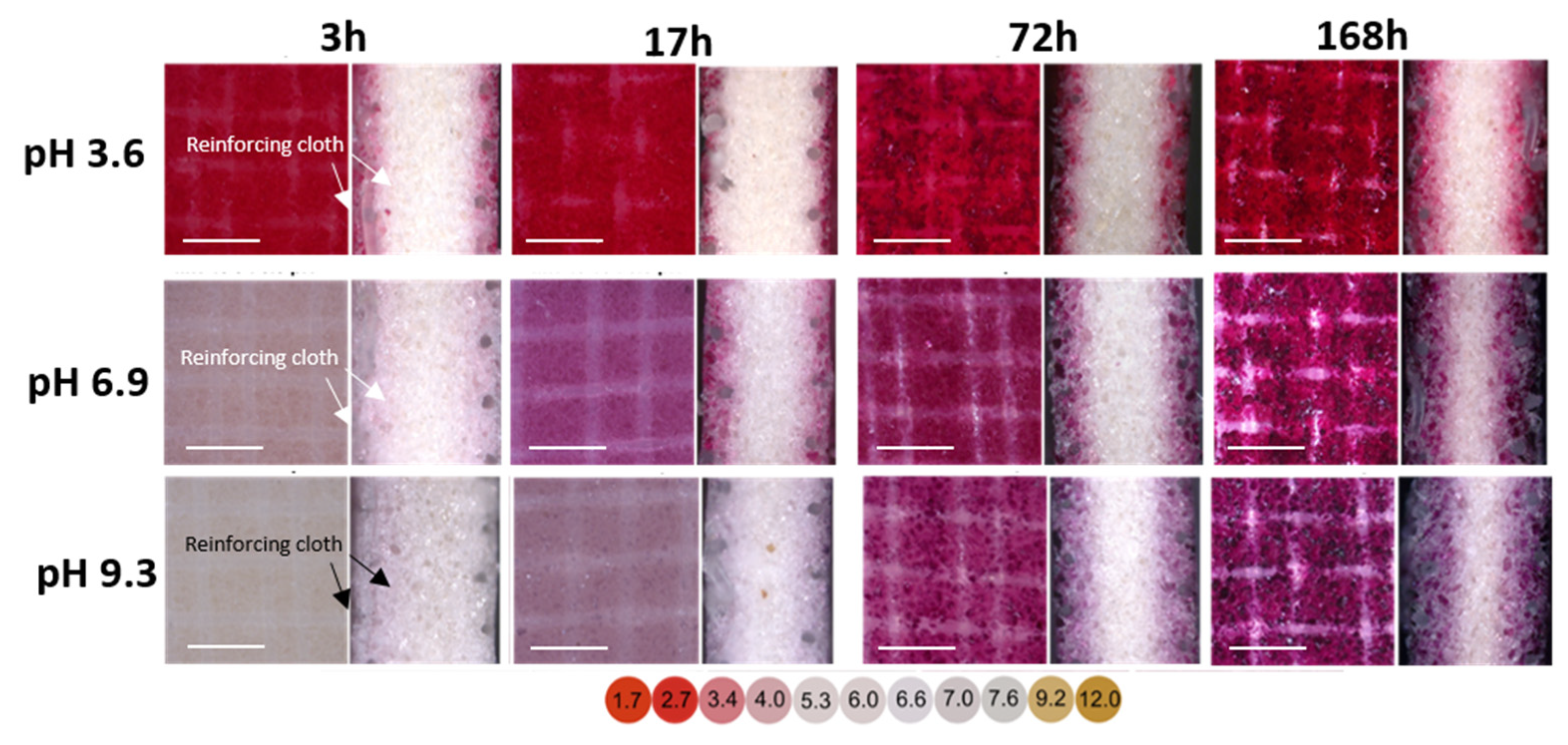 Membranes 11 00136 g007 Membranes 11 00136 g007