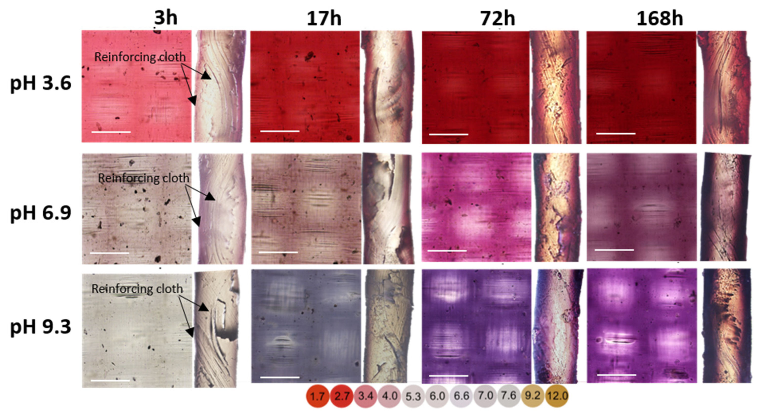 Membranes 11 00136 g008 Membranes 11 00136 g008