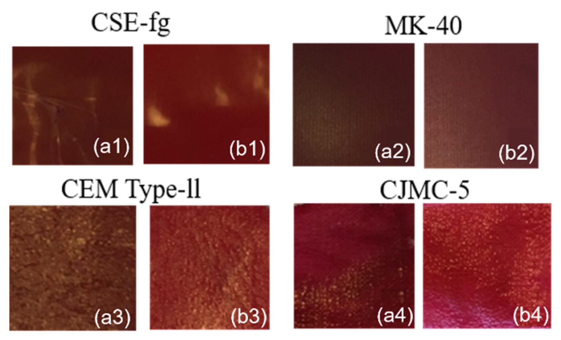 Membranes 11 00136 g009 Membranes 11 00136 g009