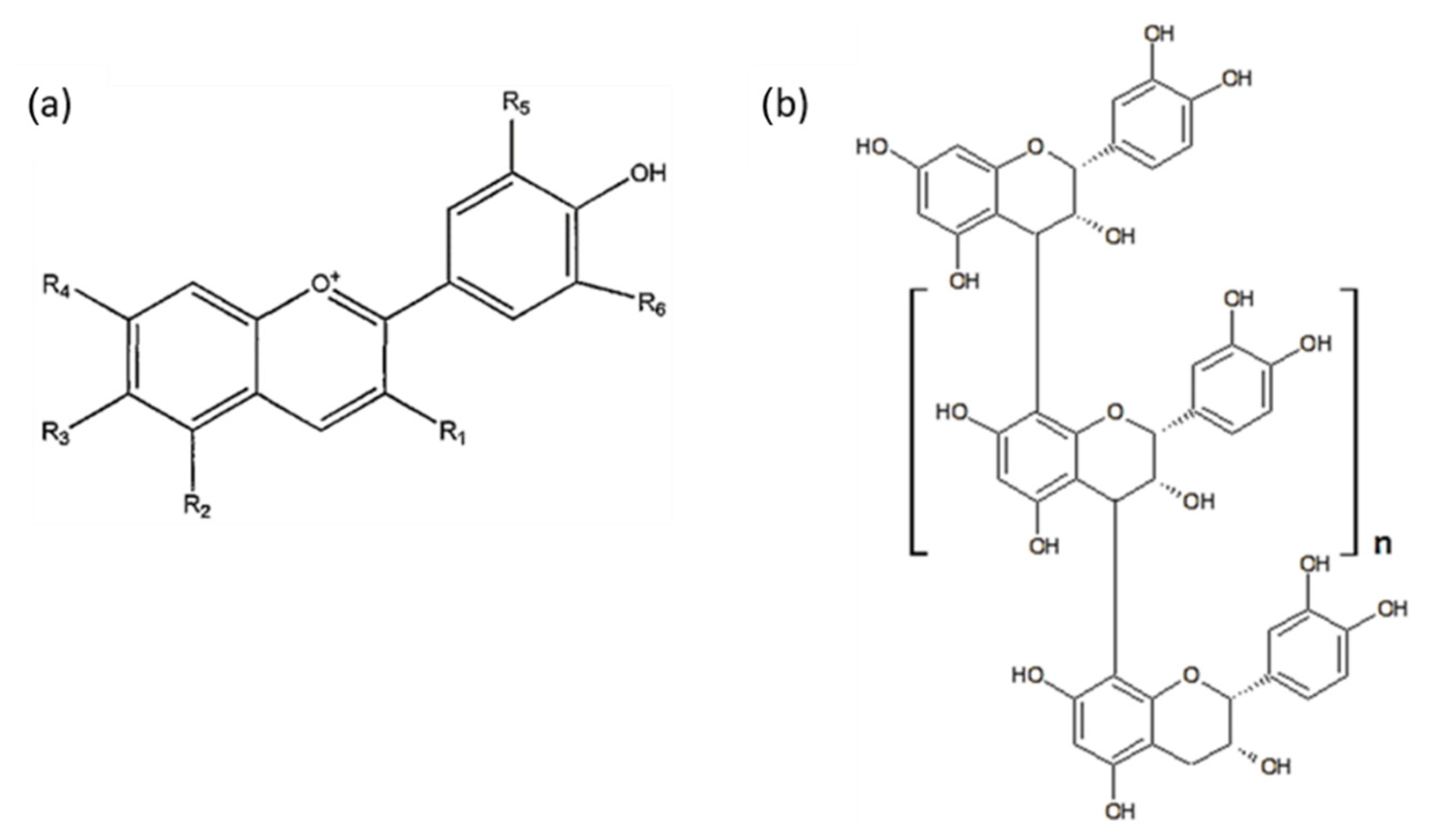 Membranes 11 00136 g011 Membranes 11 00136 g011