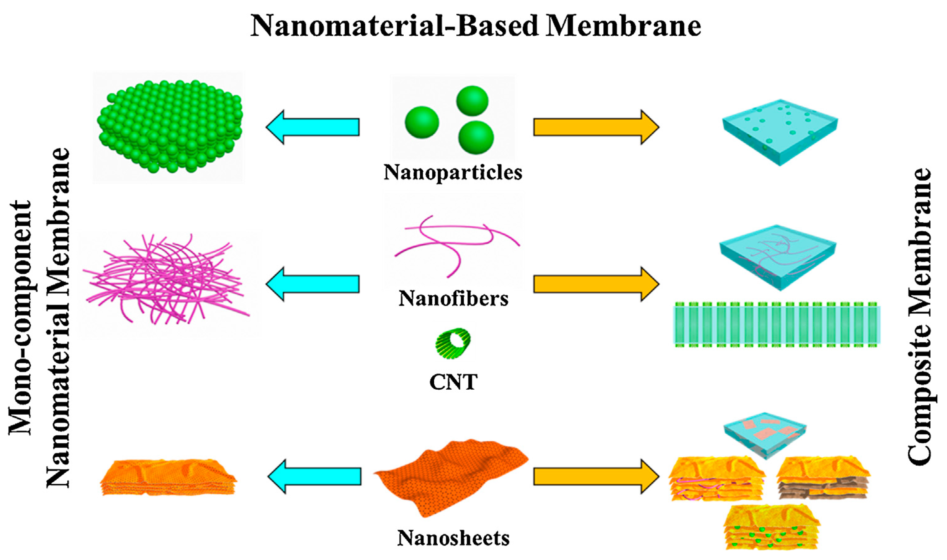 Membranes 11 00139 g002