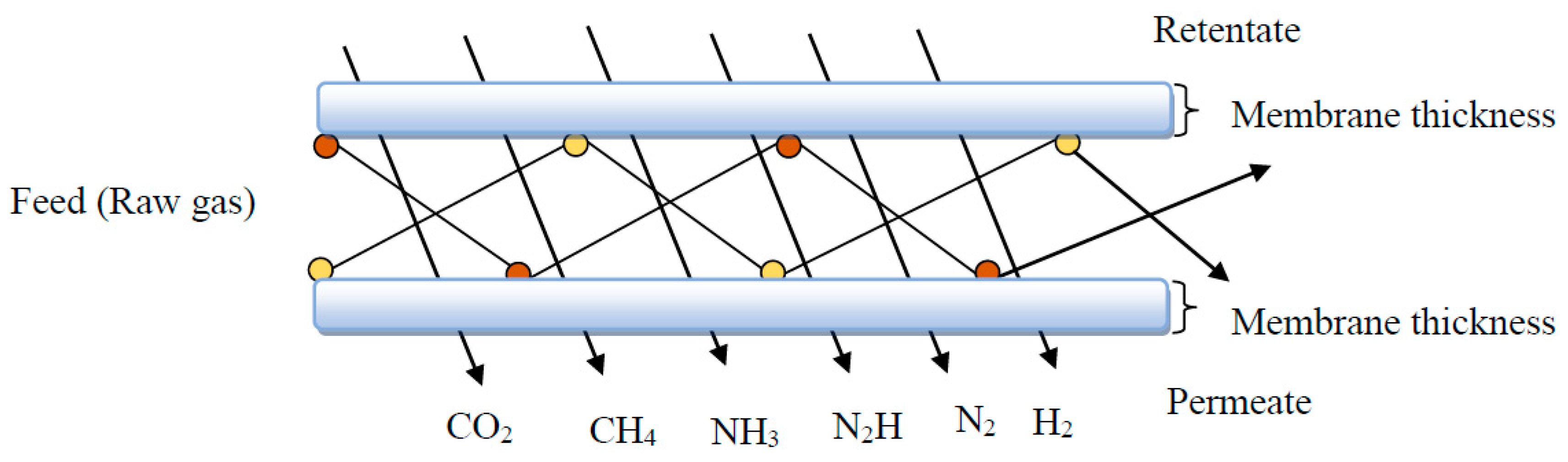Membranes 11 00139 g003