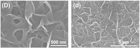 Membranes 11 00142 g001d Membranes 11 00142 g001d