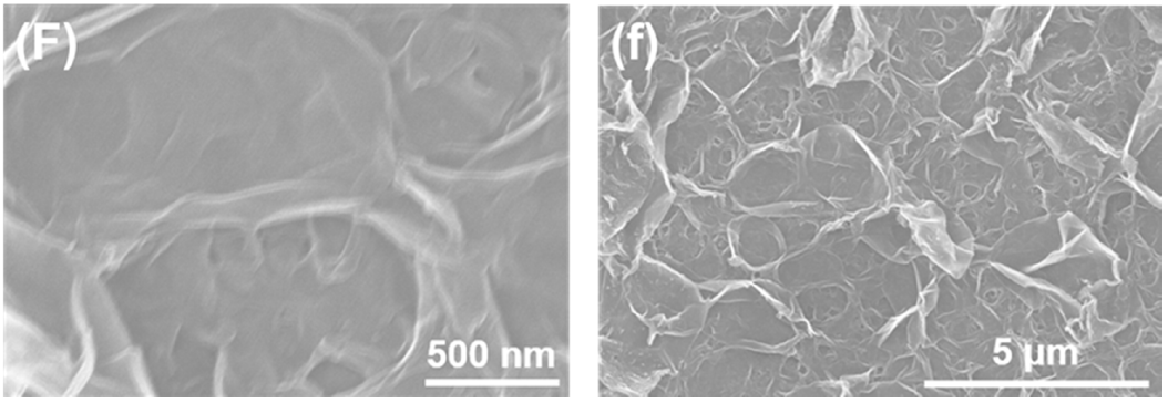 Membranes 11 00142 g001f Membranes 11 00142 g001f