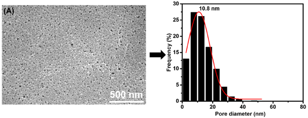 Membranes 11 00142 g003a Membranes 11 00142 g003a