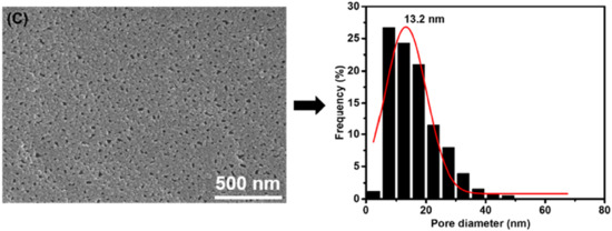Membranes 11 00142 g003c Membranes 11 00142 g003c