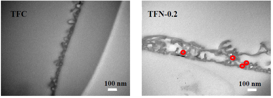 Membranes 11 00142 g004 Membranes 11 00142 g004