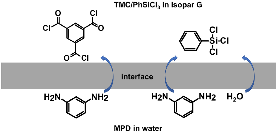 Membranes 11 00142 sch001 Membranes 11 00142 sch001