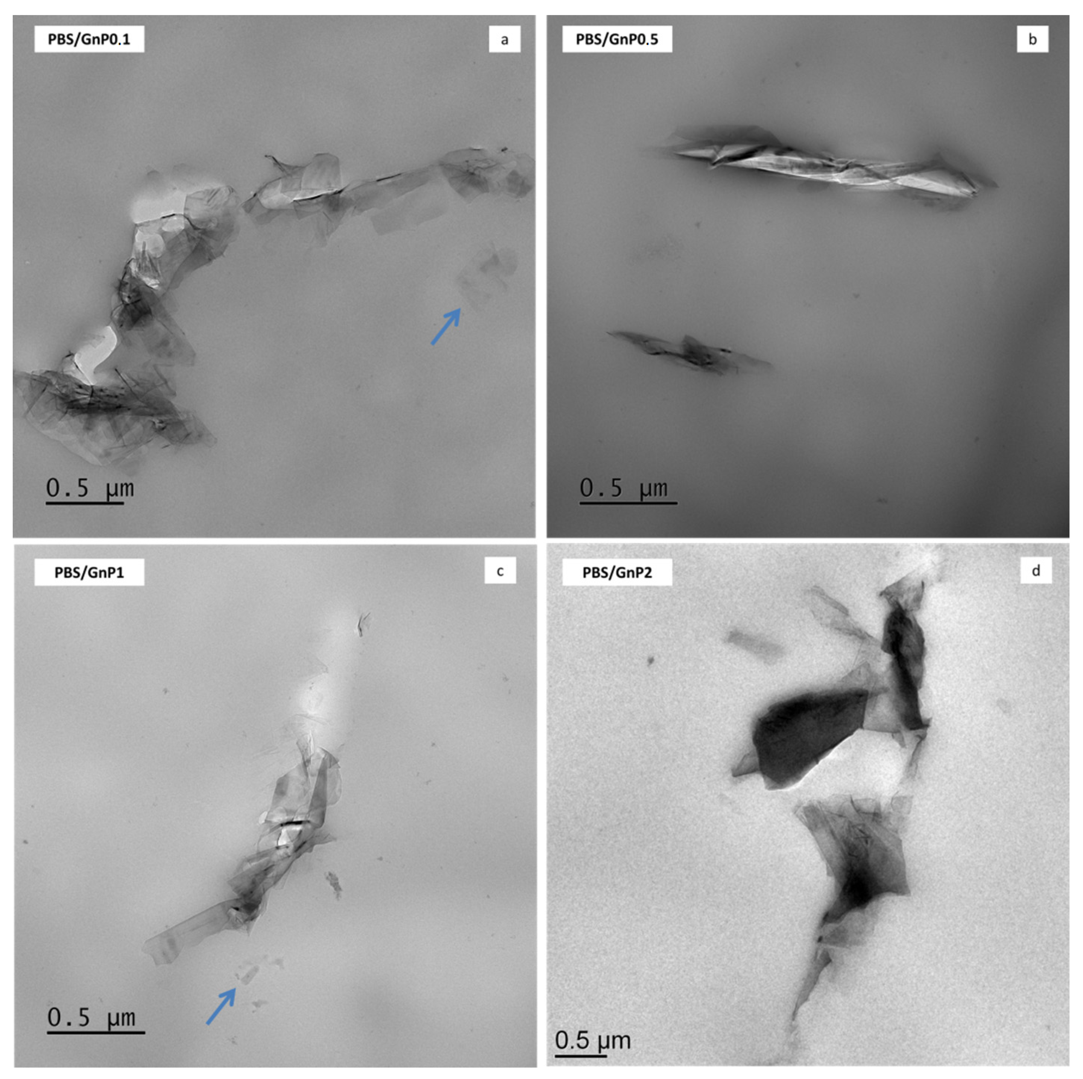 Membranes 11 00151 g002