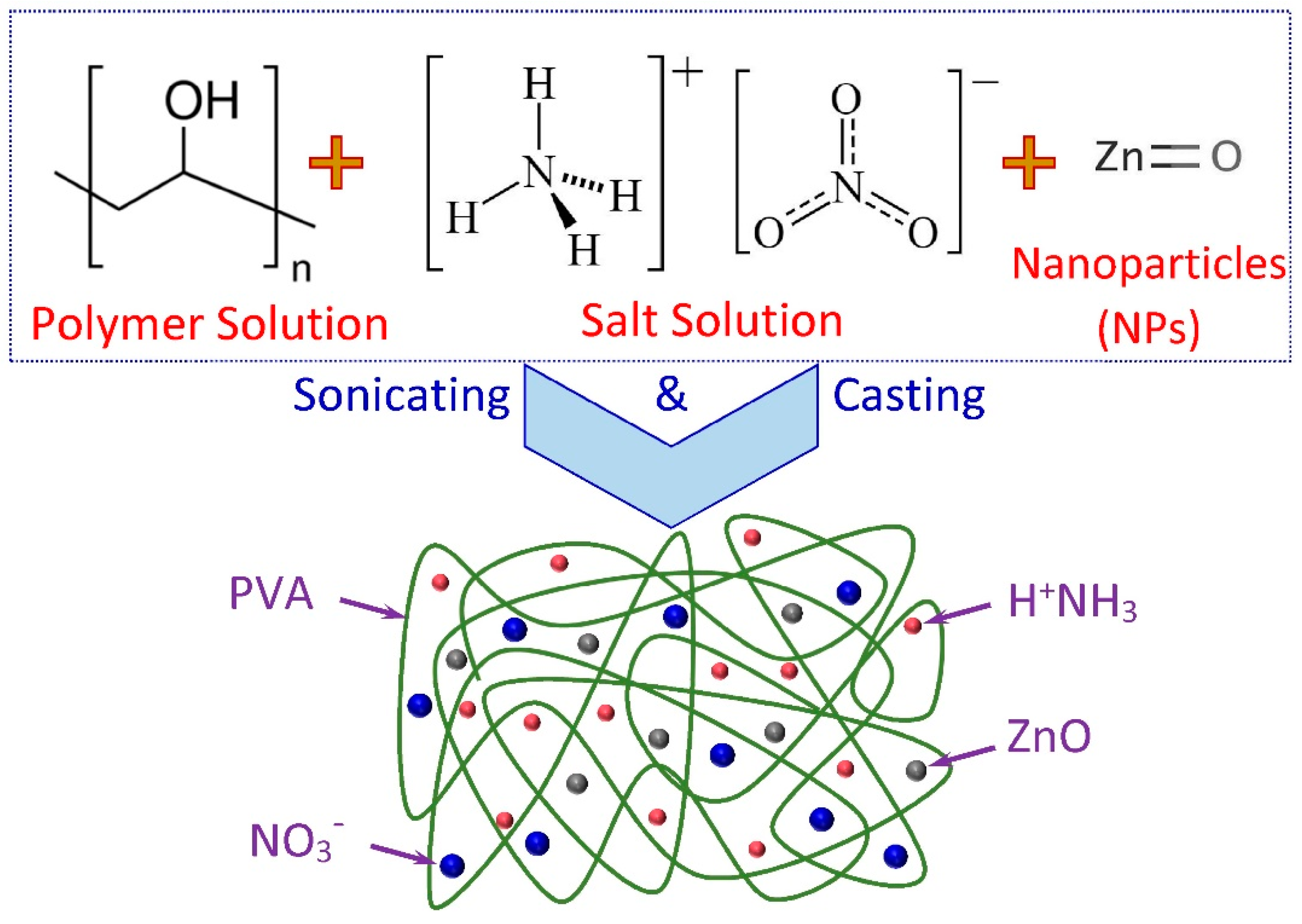 Membranes 11 00163 g001