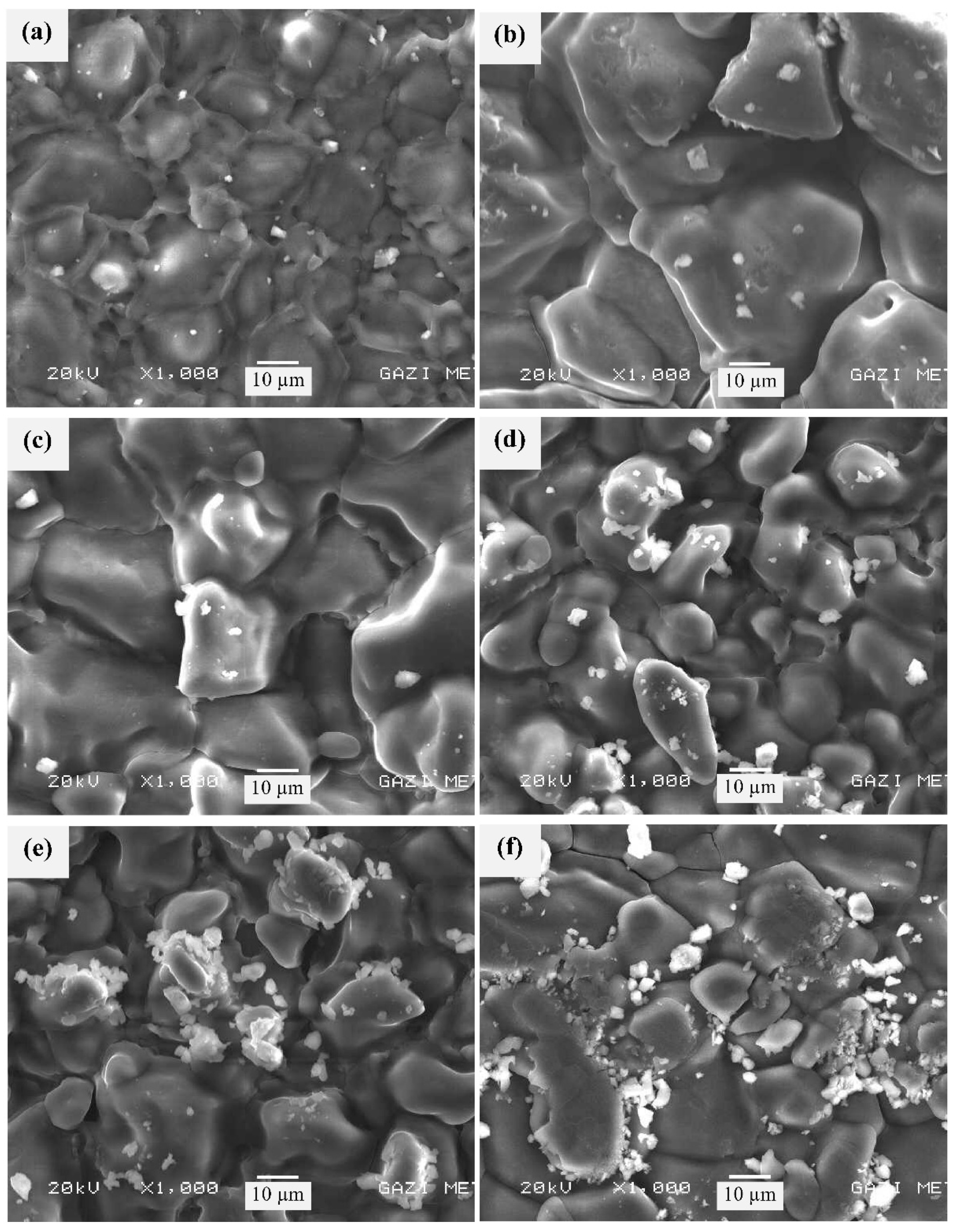 Membranes 11 00163 g003