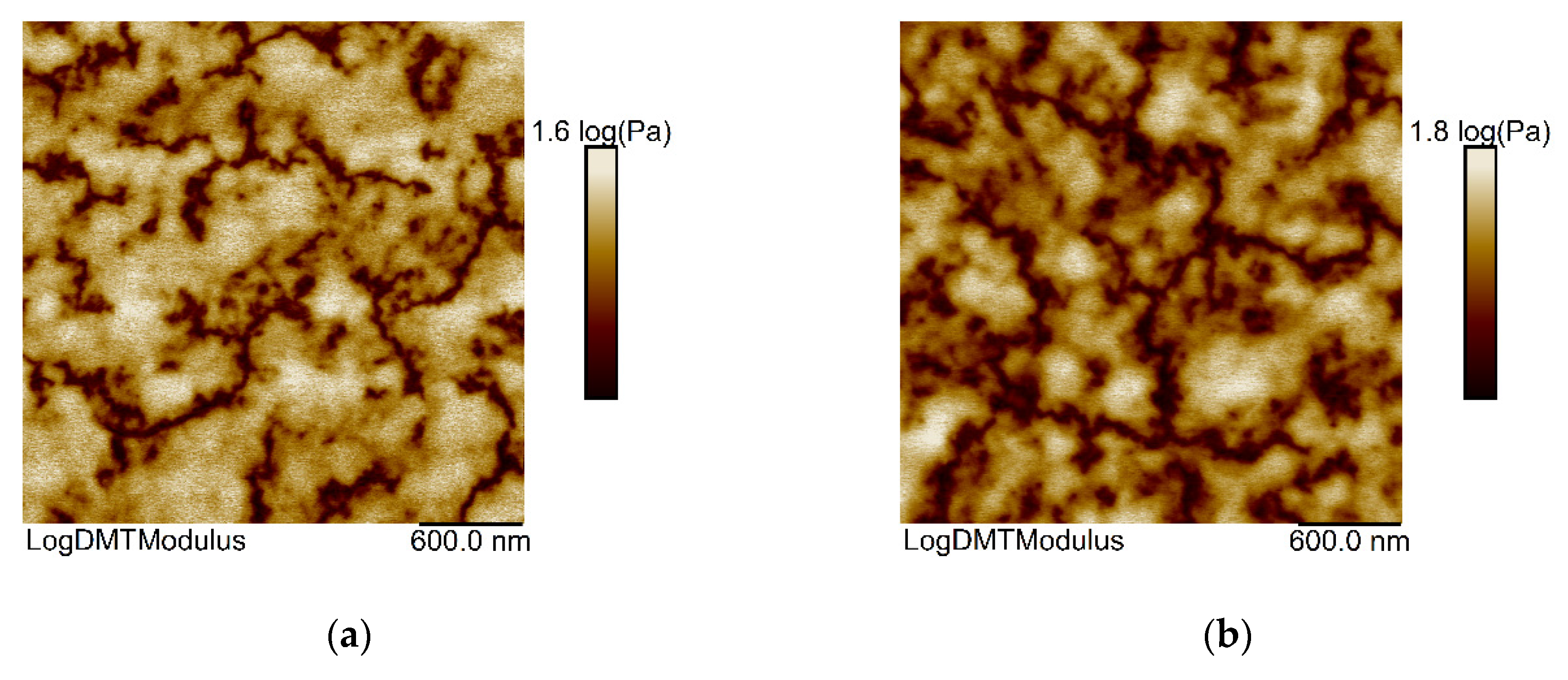 Membranes 11 00174 g005a Membranes 11 00174 g005a