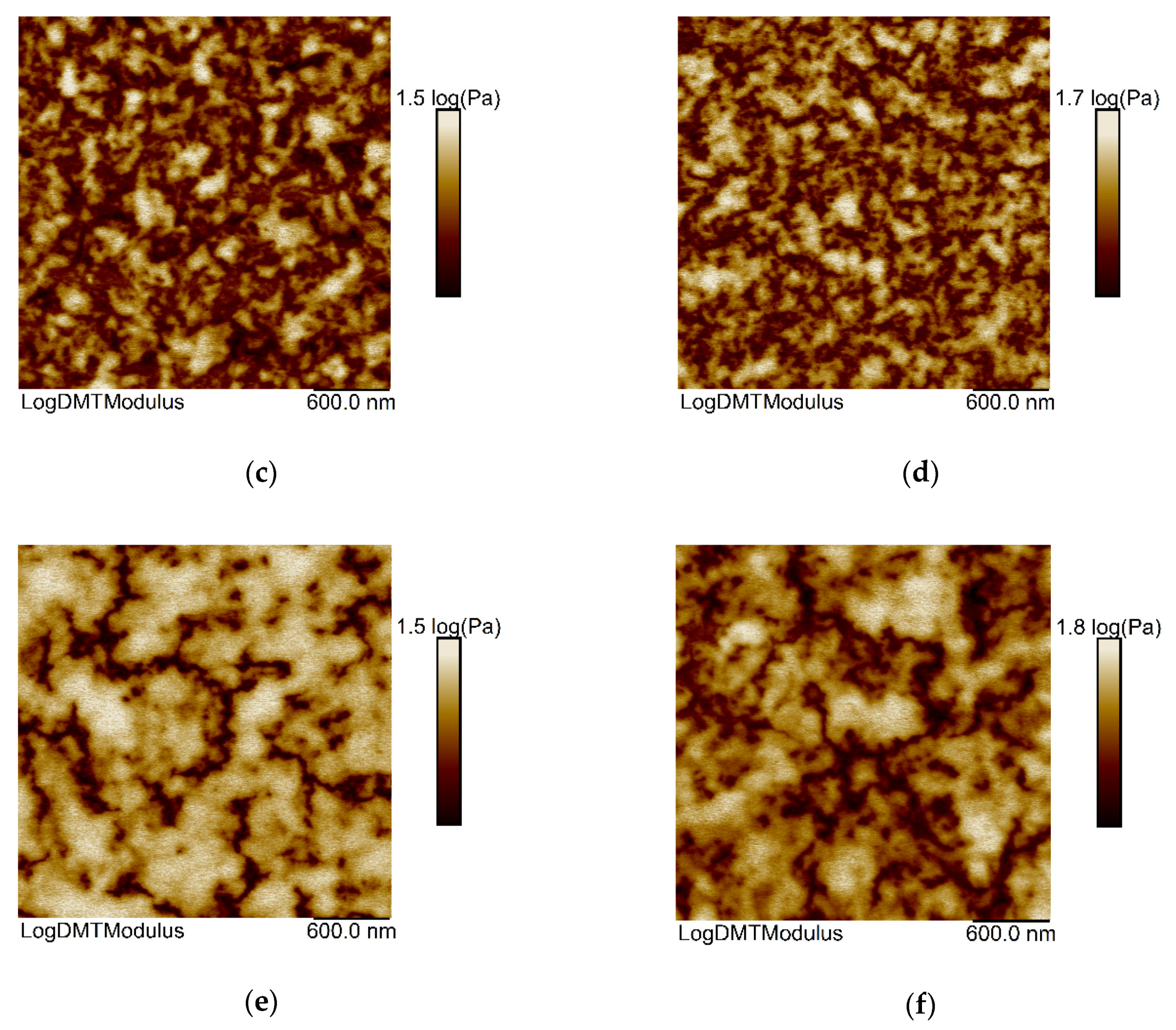 Membranes 11 00174 g005b Membranes 11 00174 g005b