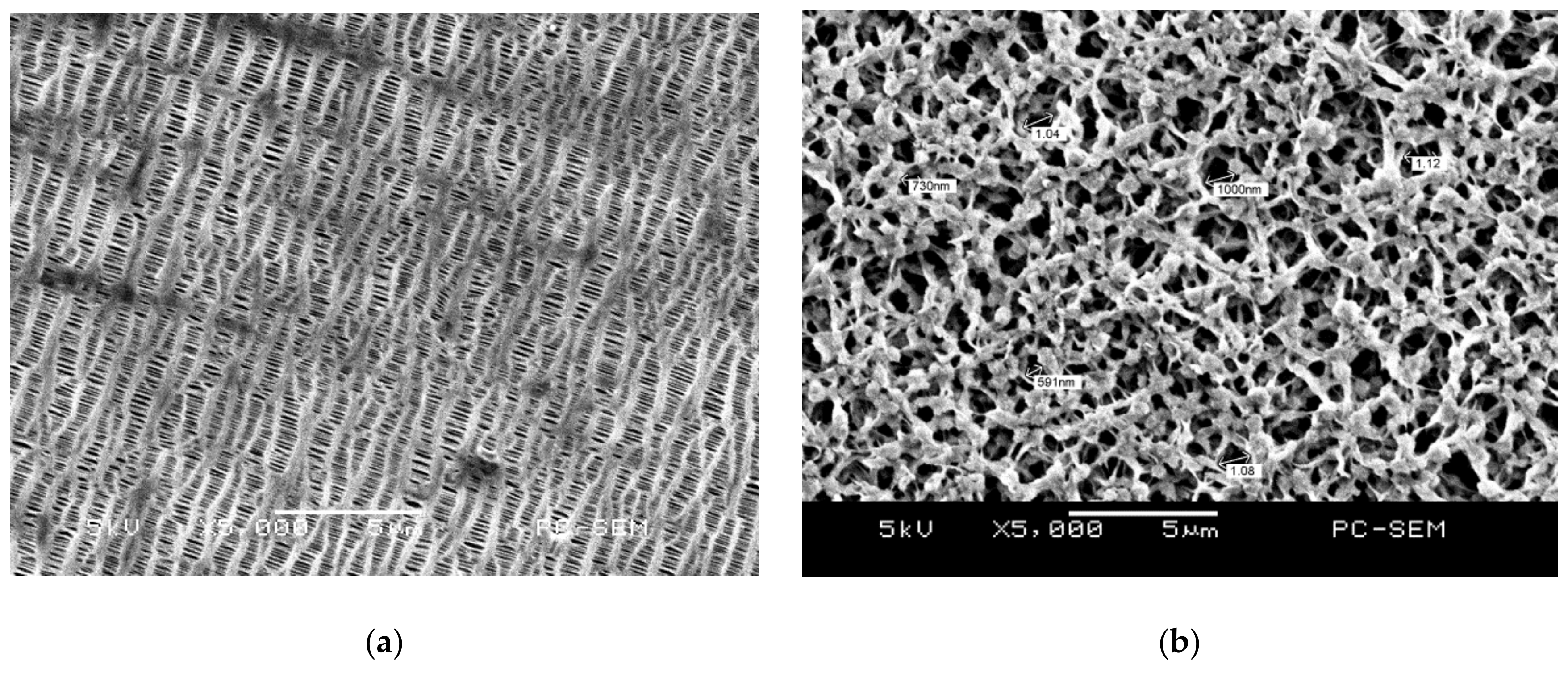 Membranes 11 00186 g005a