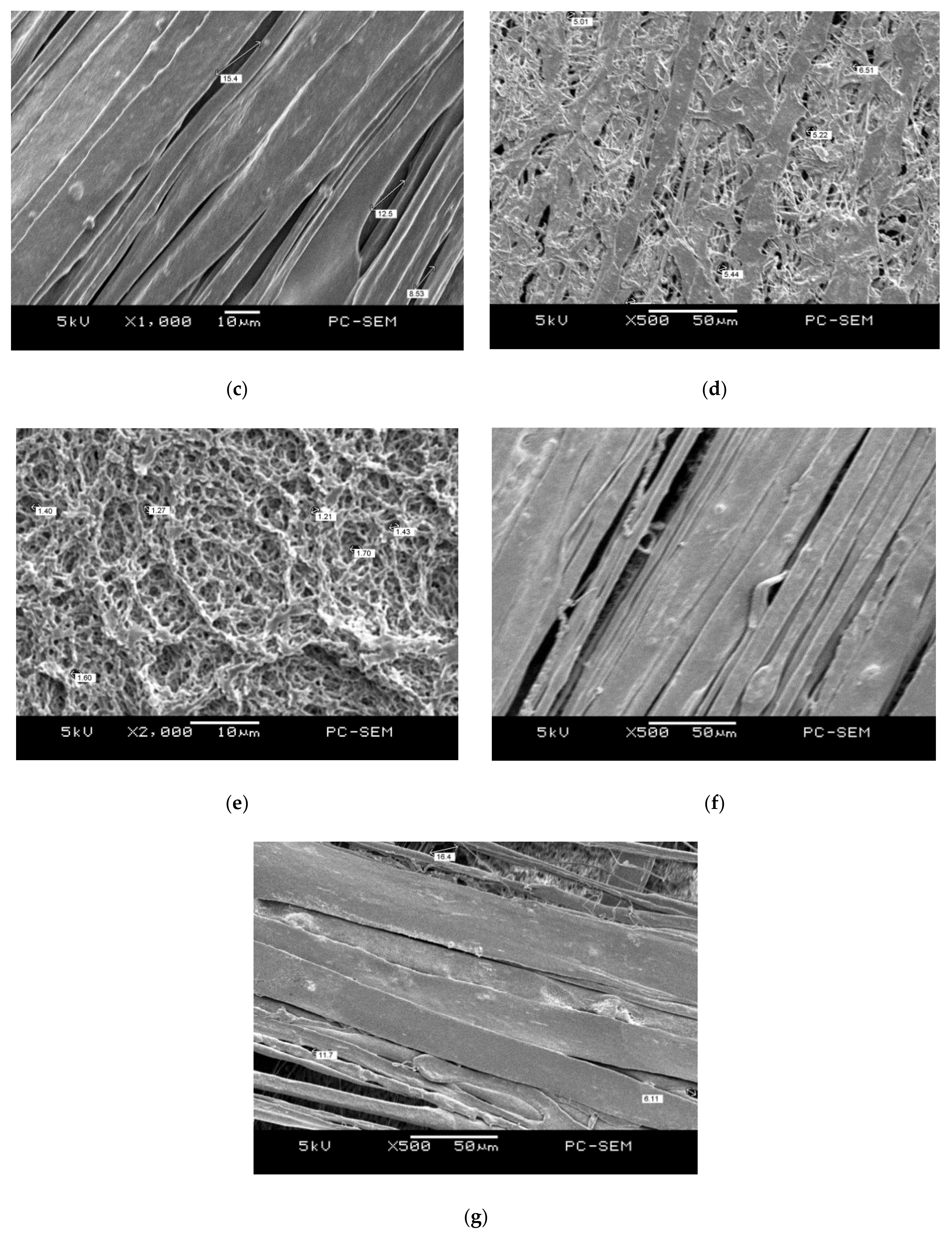 Membranes 11 00186 g005b