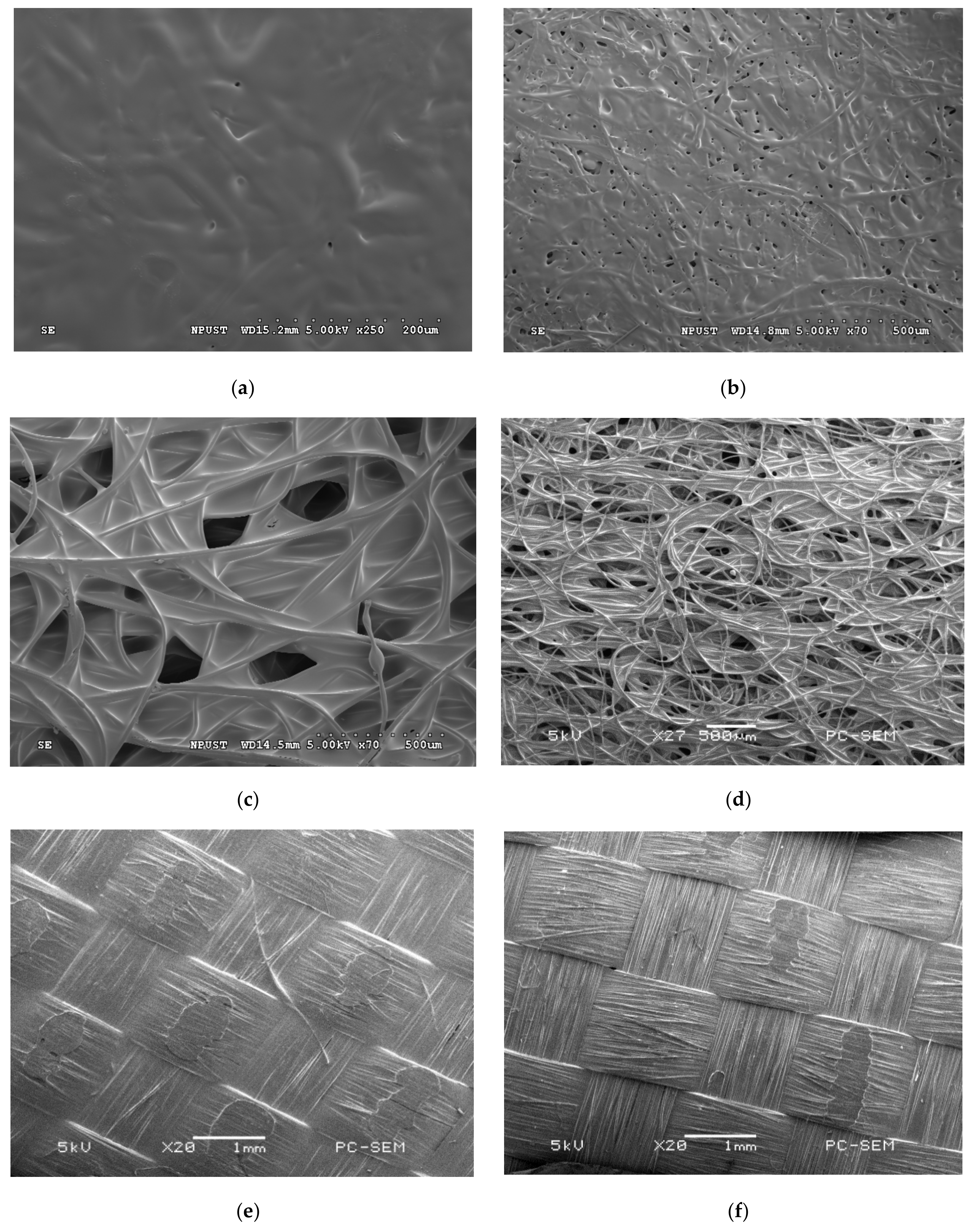 Membranes 11 00186 g006