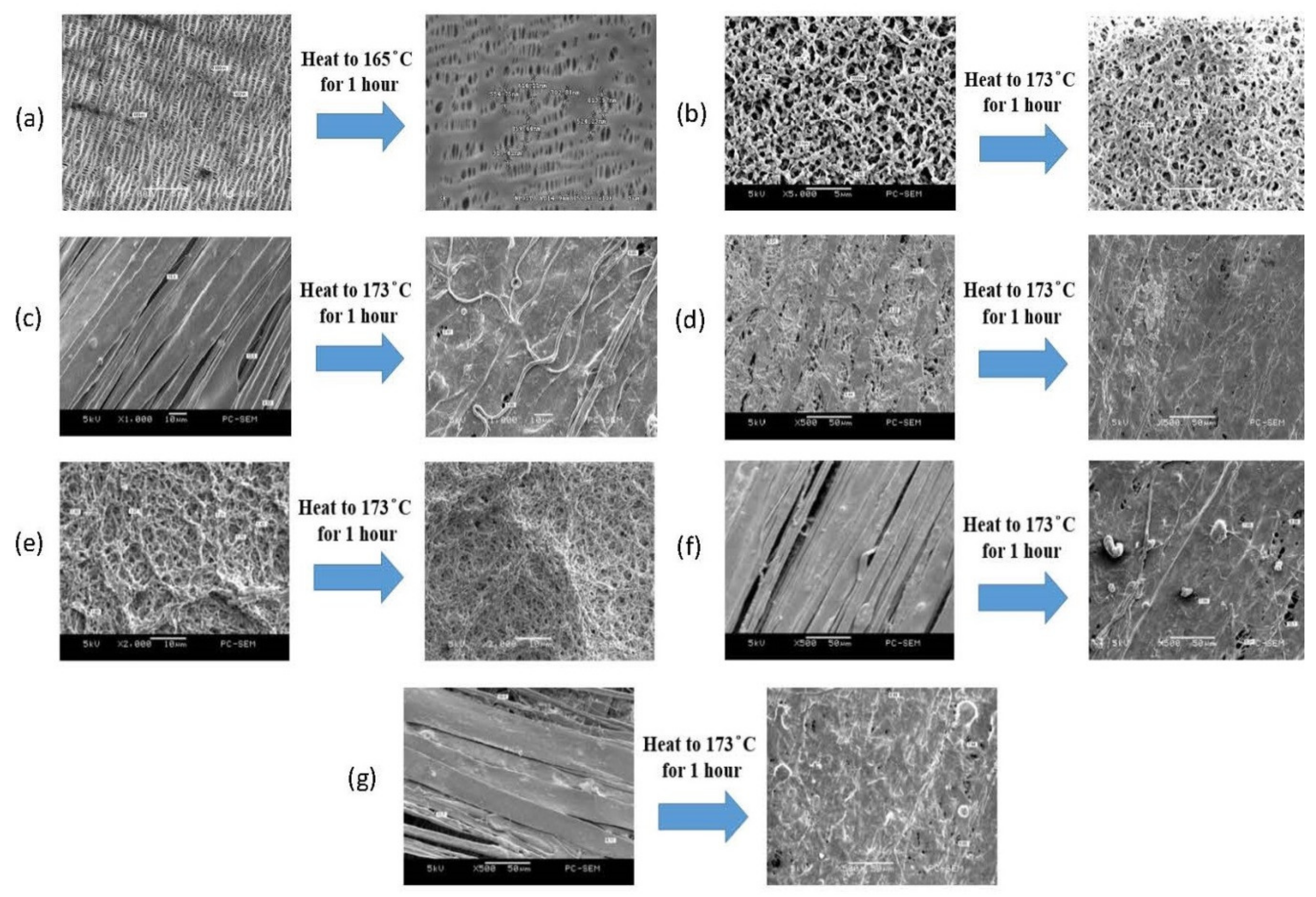 Membranes 11 00186 g008