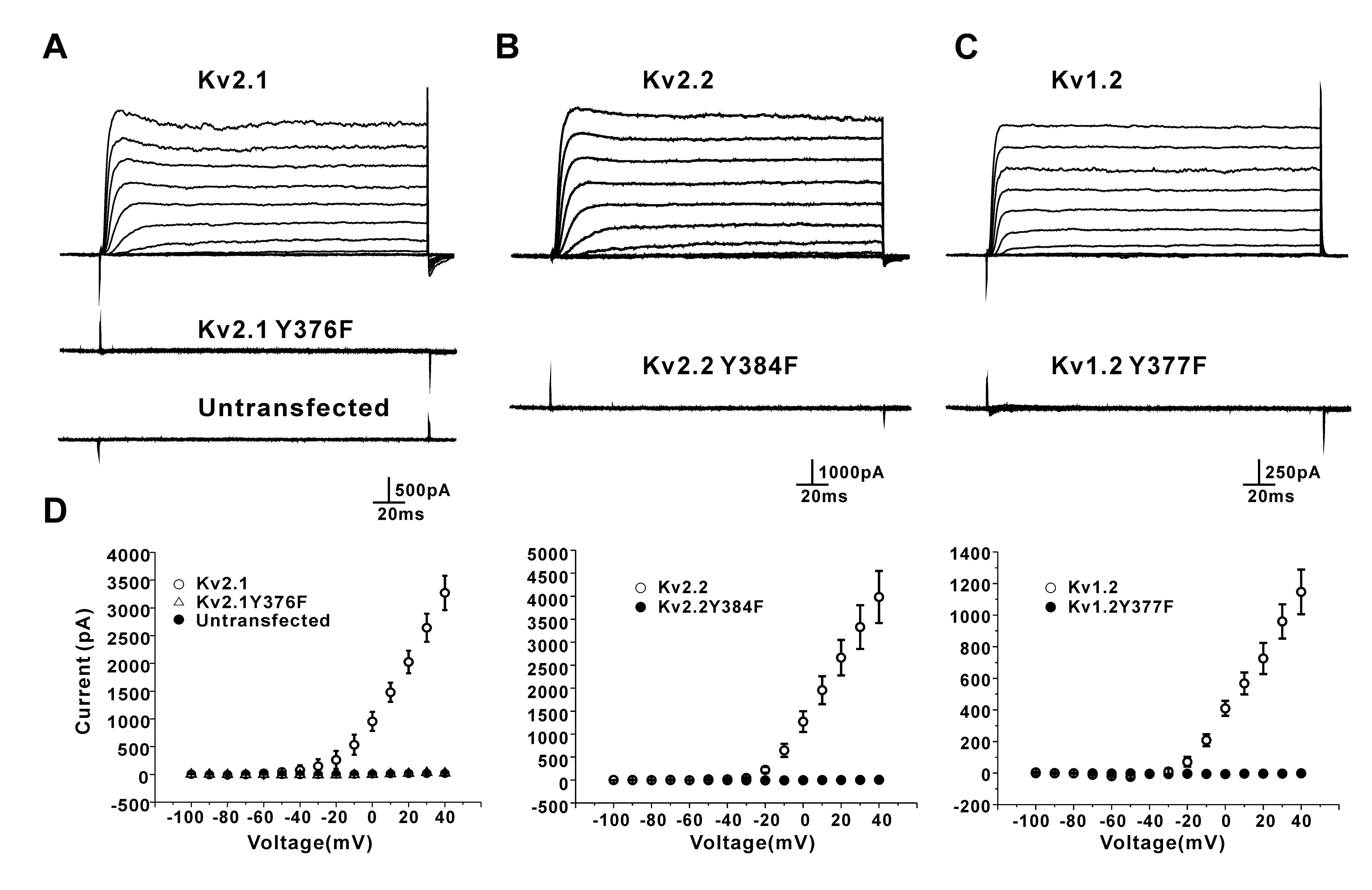 Membranes 11 00190 g006