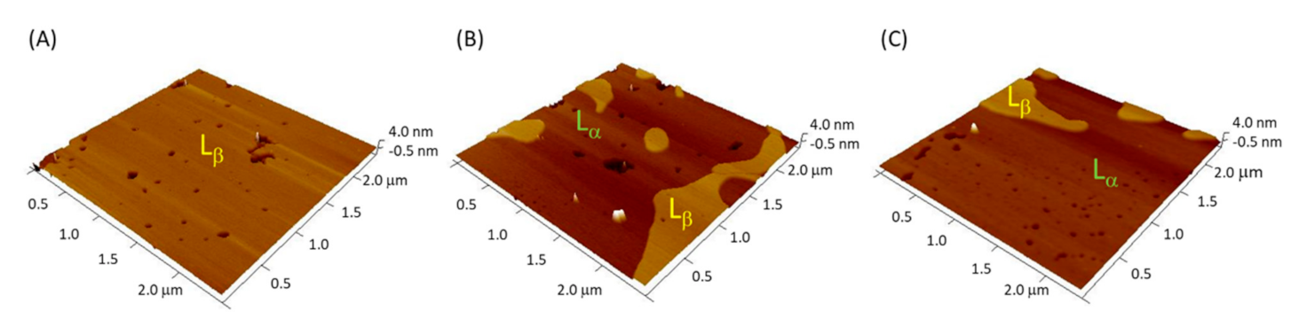 Membranes 11 00192 g003 Membranes 11 00192 g003