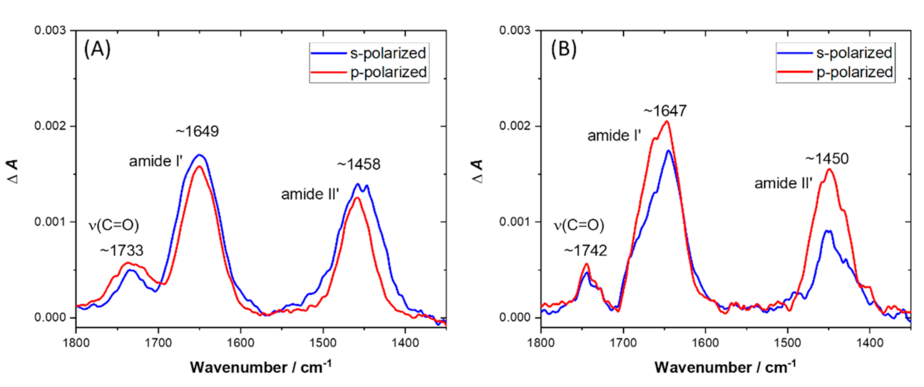 Membranes 11 00192 g006 Membranes 11 00192 g006