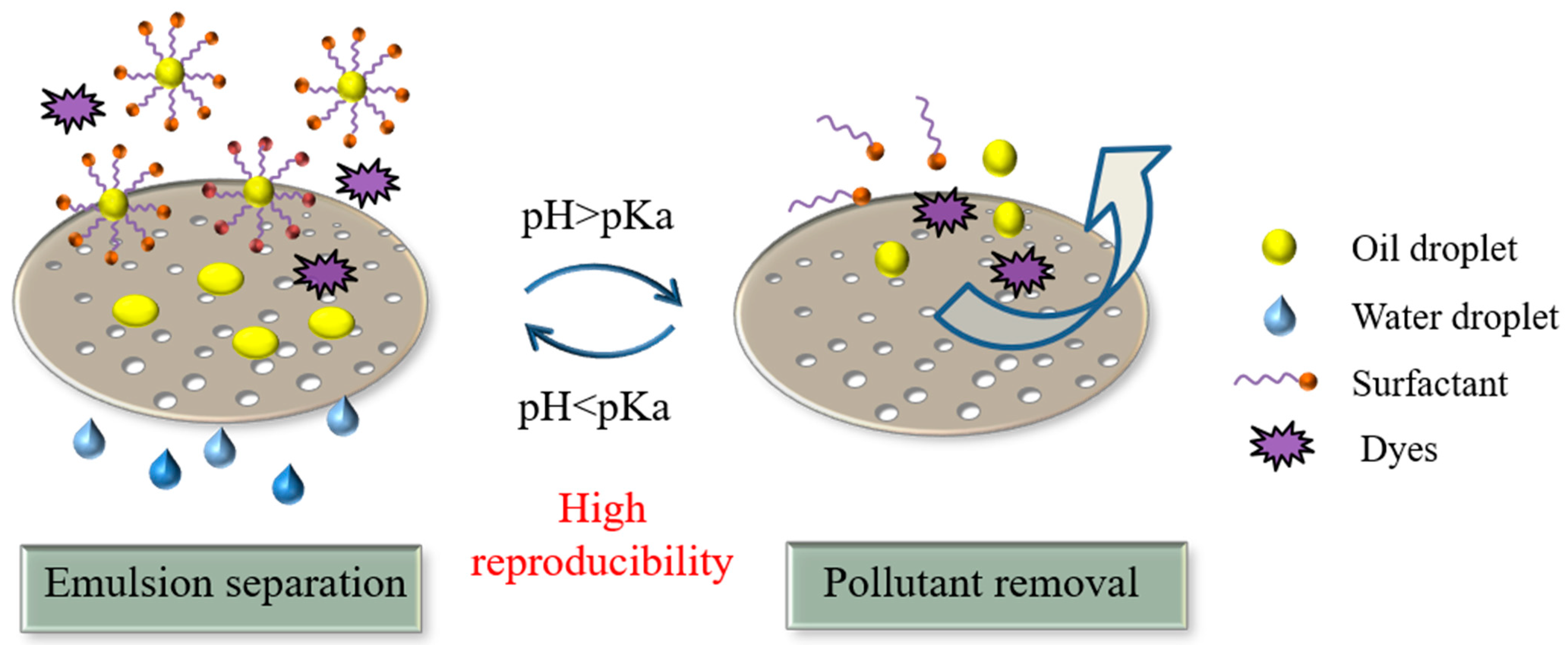 Membranes 11 00193 g001