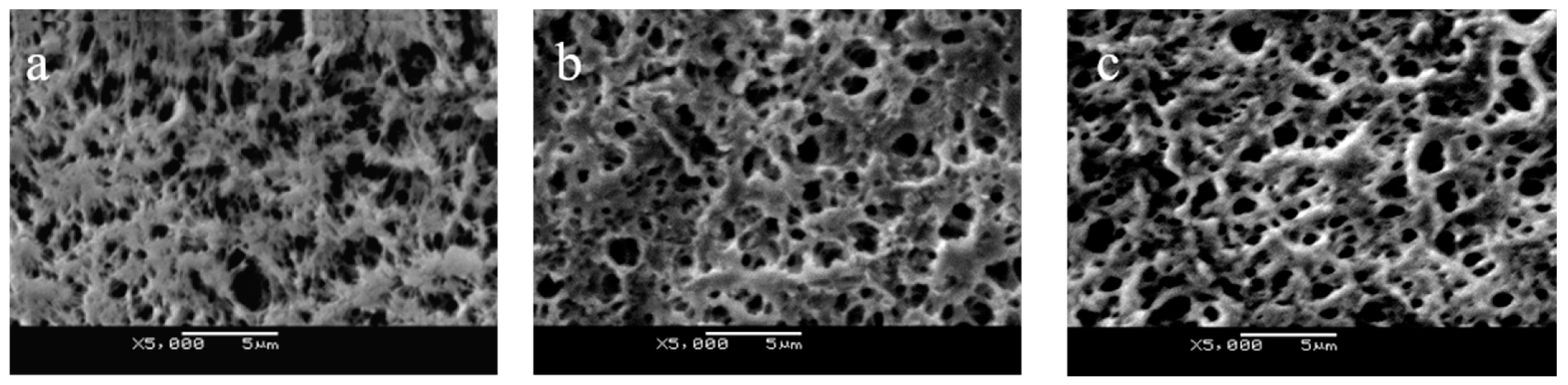 Membranes 11 00193 g002