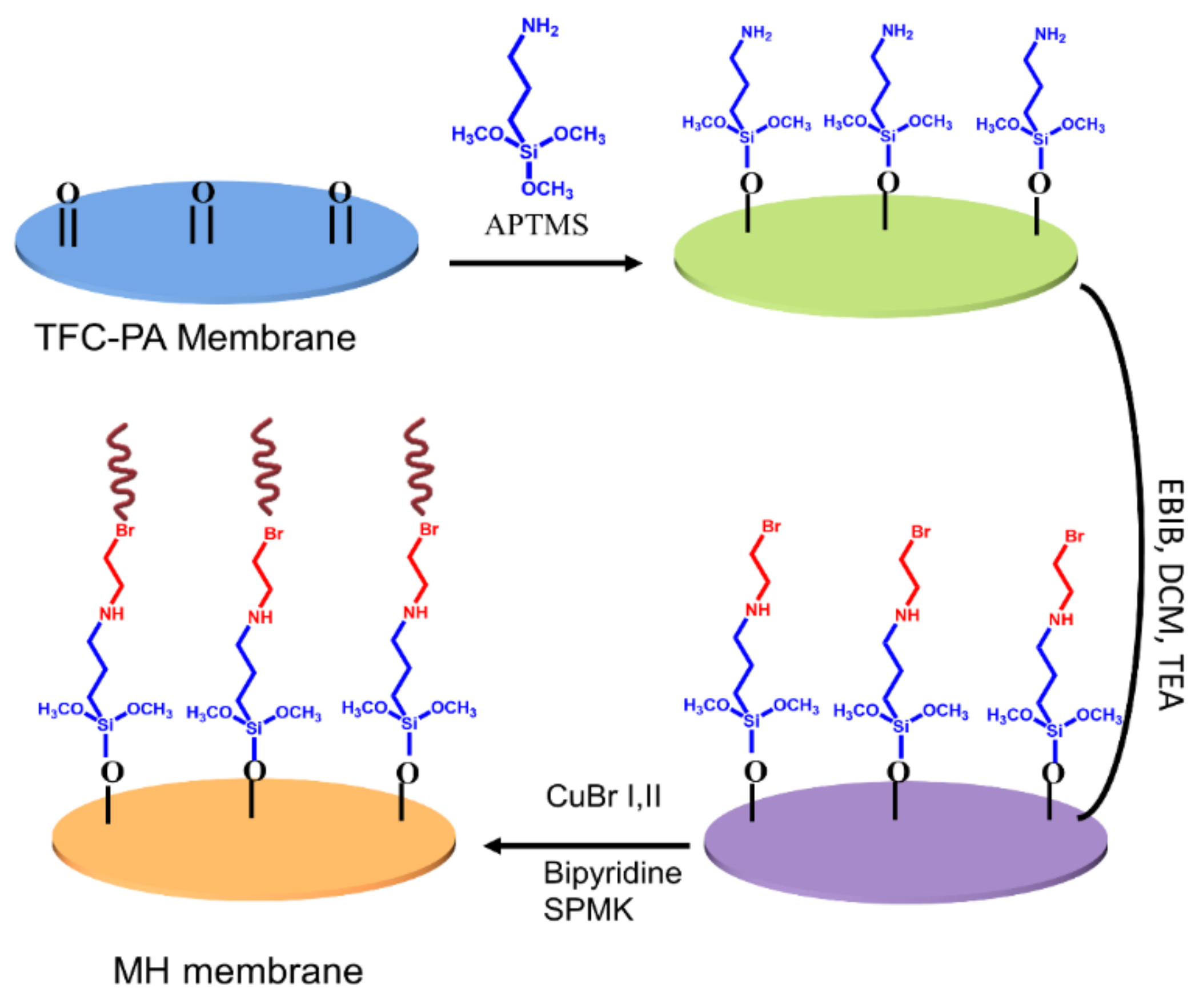 Membranes 11 00213 g001 Membranes 11 00213 g001