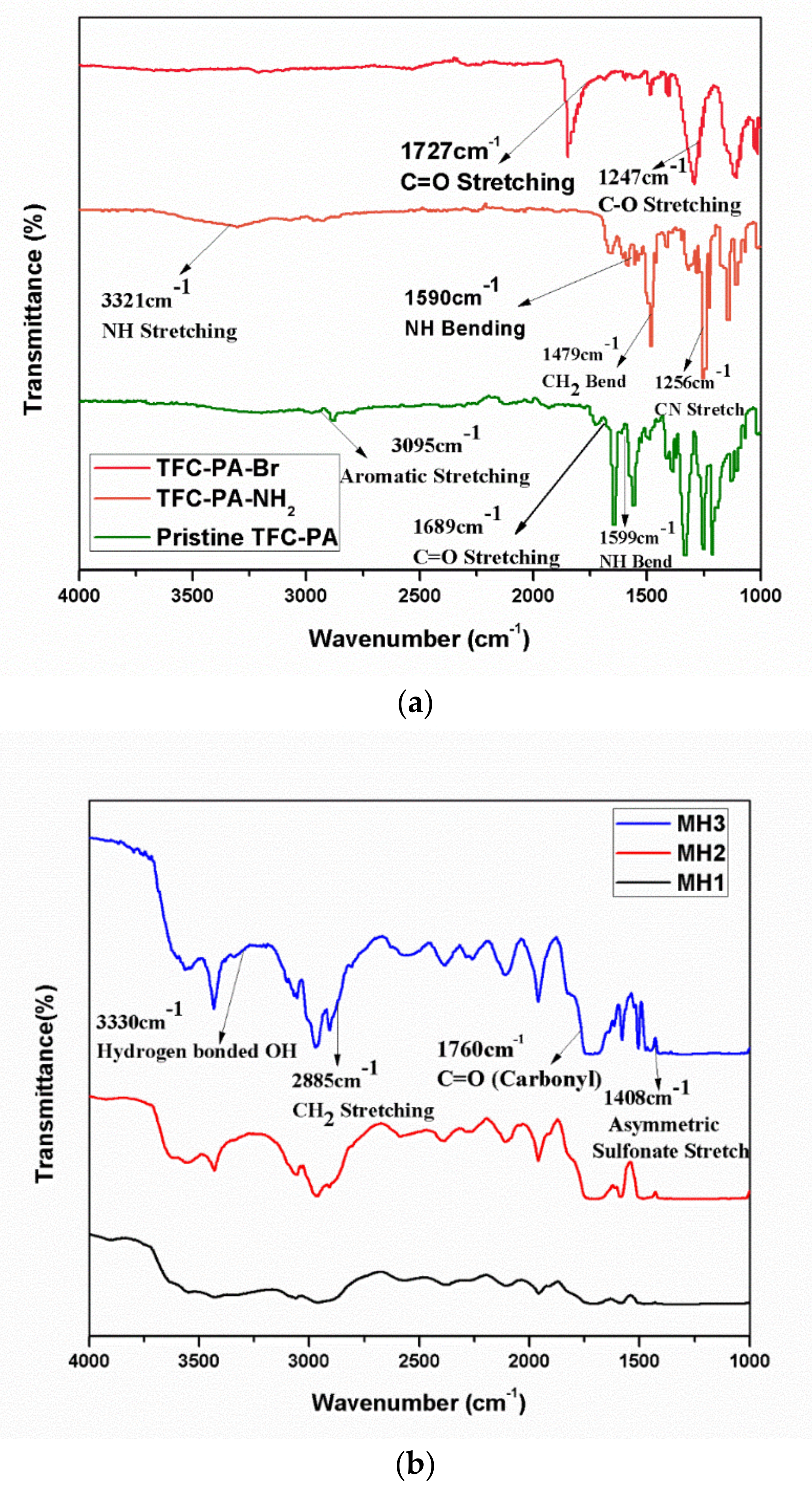 Membranes 11 00213 g003 Membranes 11 00213 g003