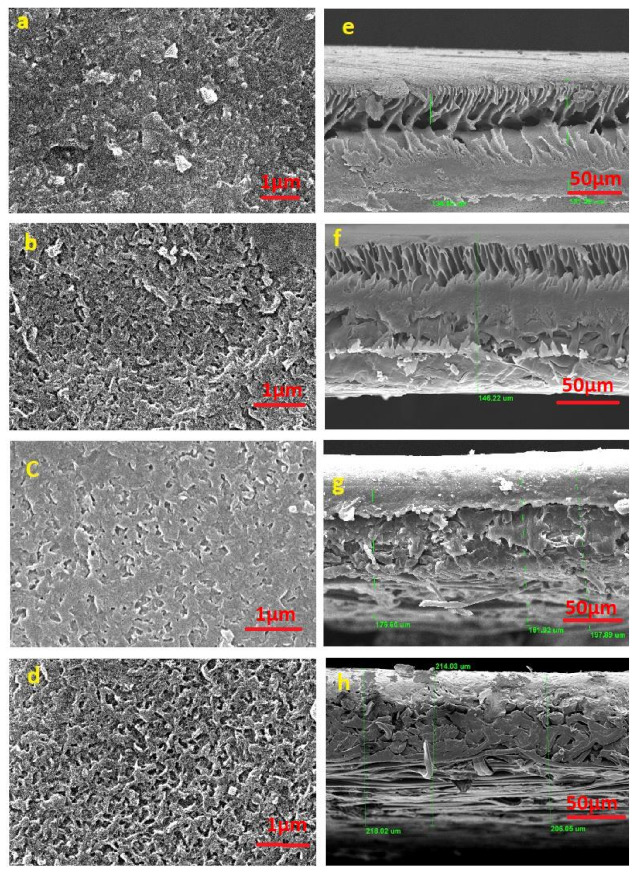 Membranes 11 00213 g004 Membranes 11 00213 g004