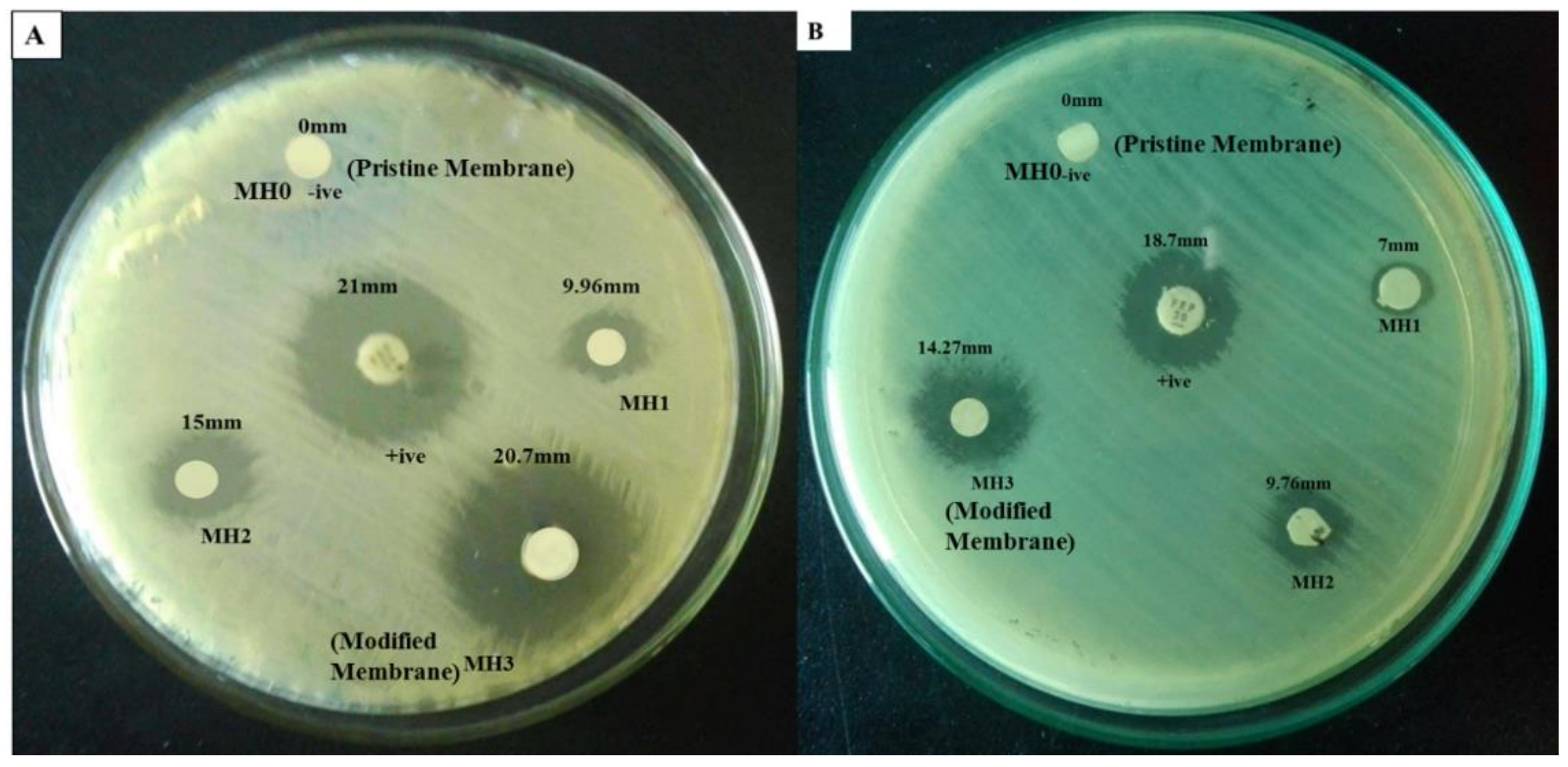 Membranes 11 00213 g008 Membranes 11 00213 g008
