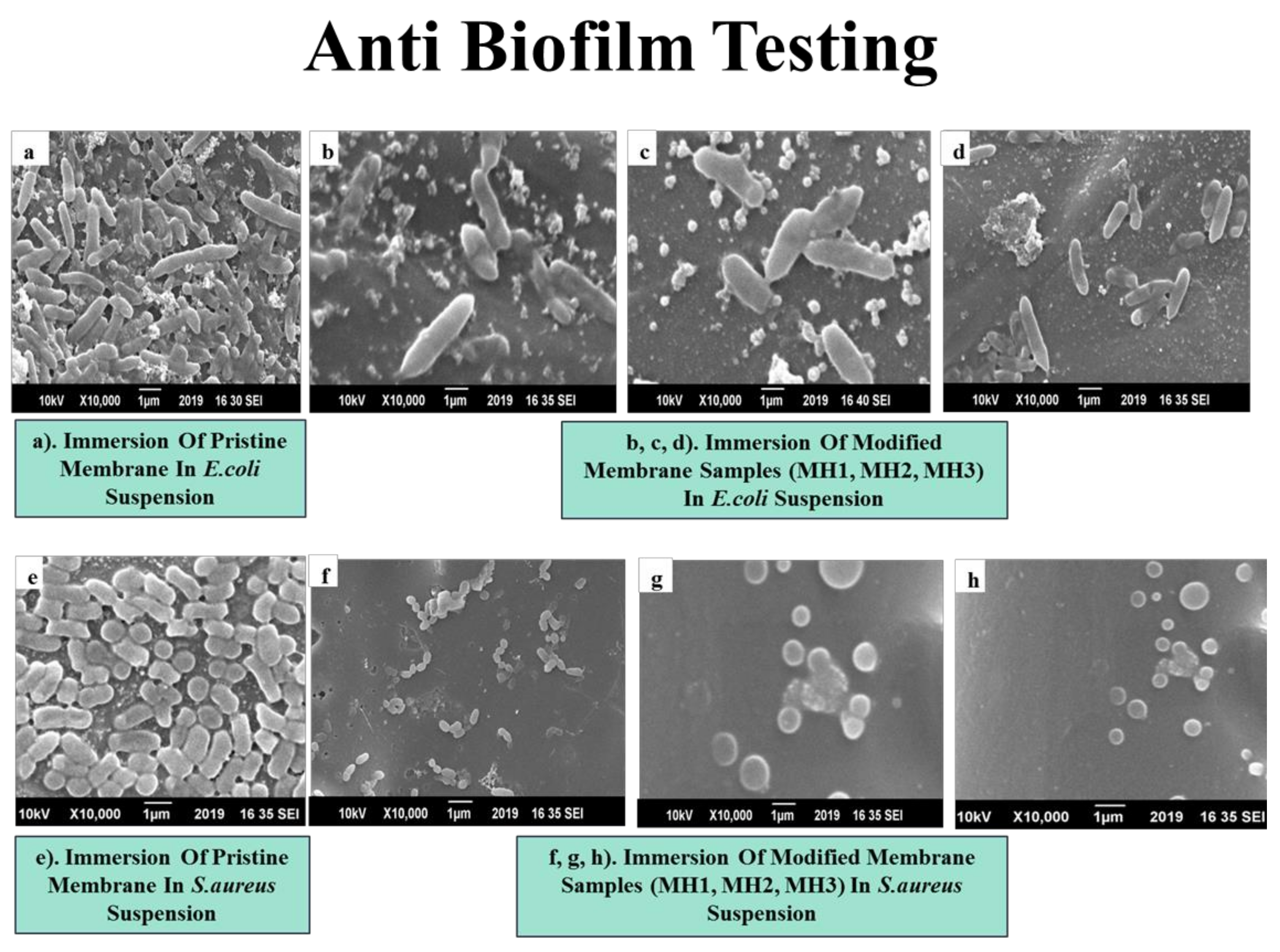 Membranes 11 00213 g010 Membranes 11 00213 g010