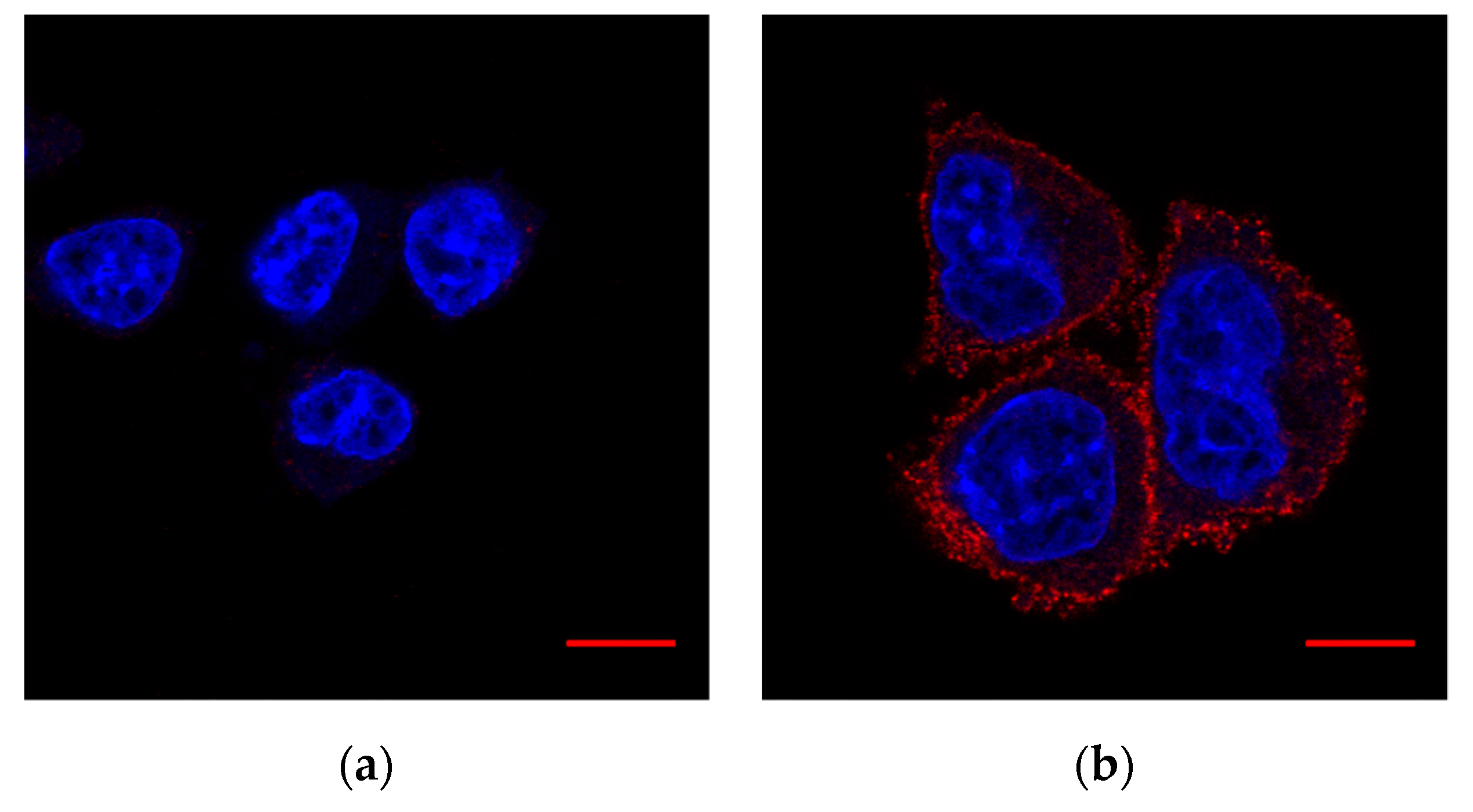 Membranes 11 00218 g002