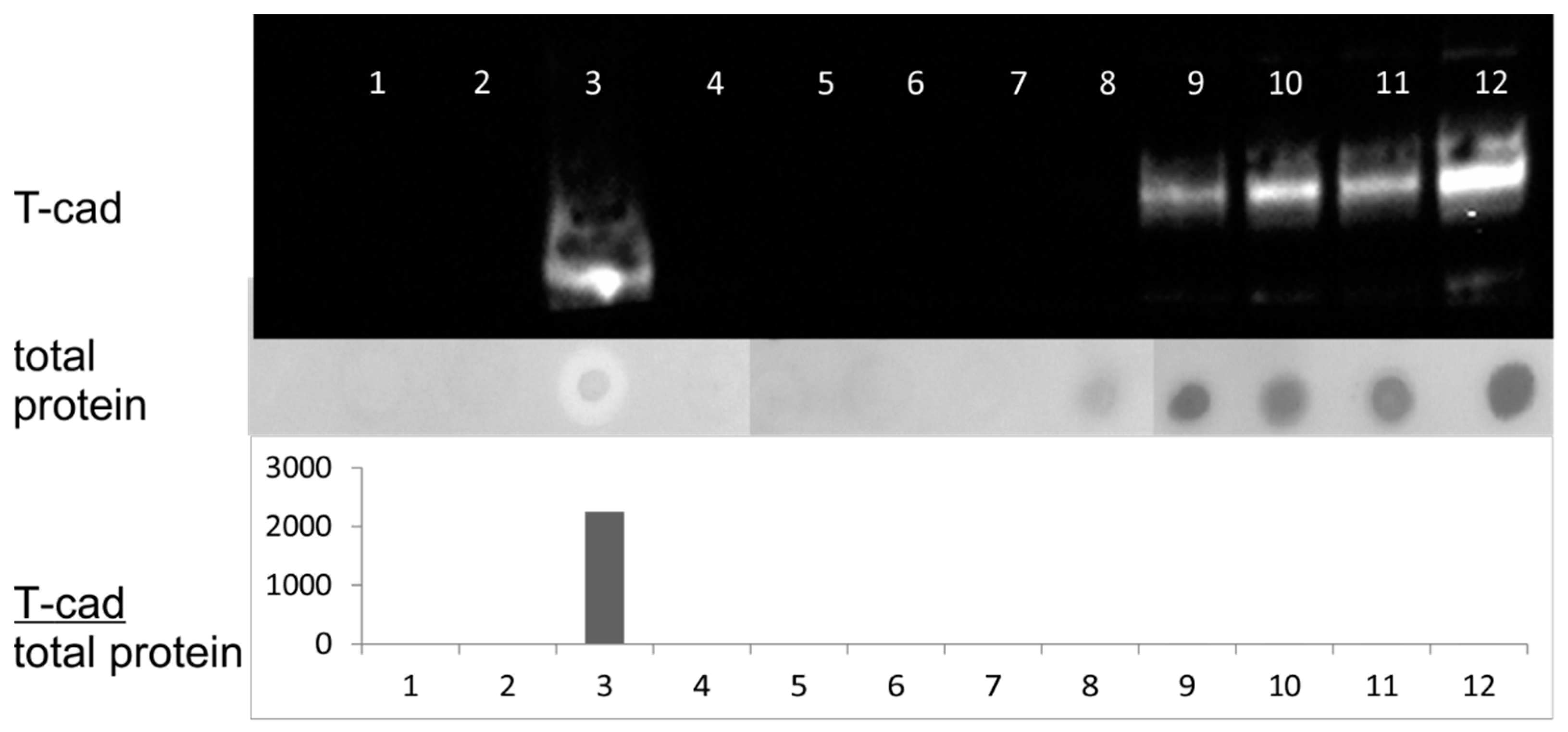 Membranes 11 00218 g007