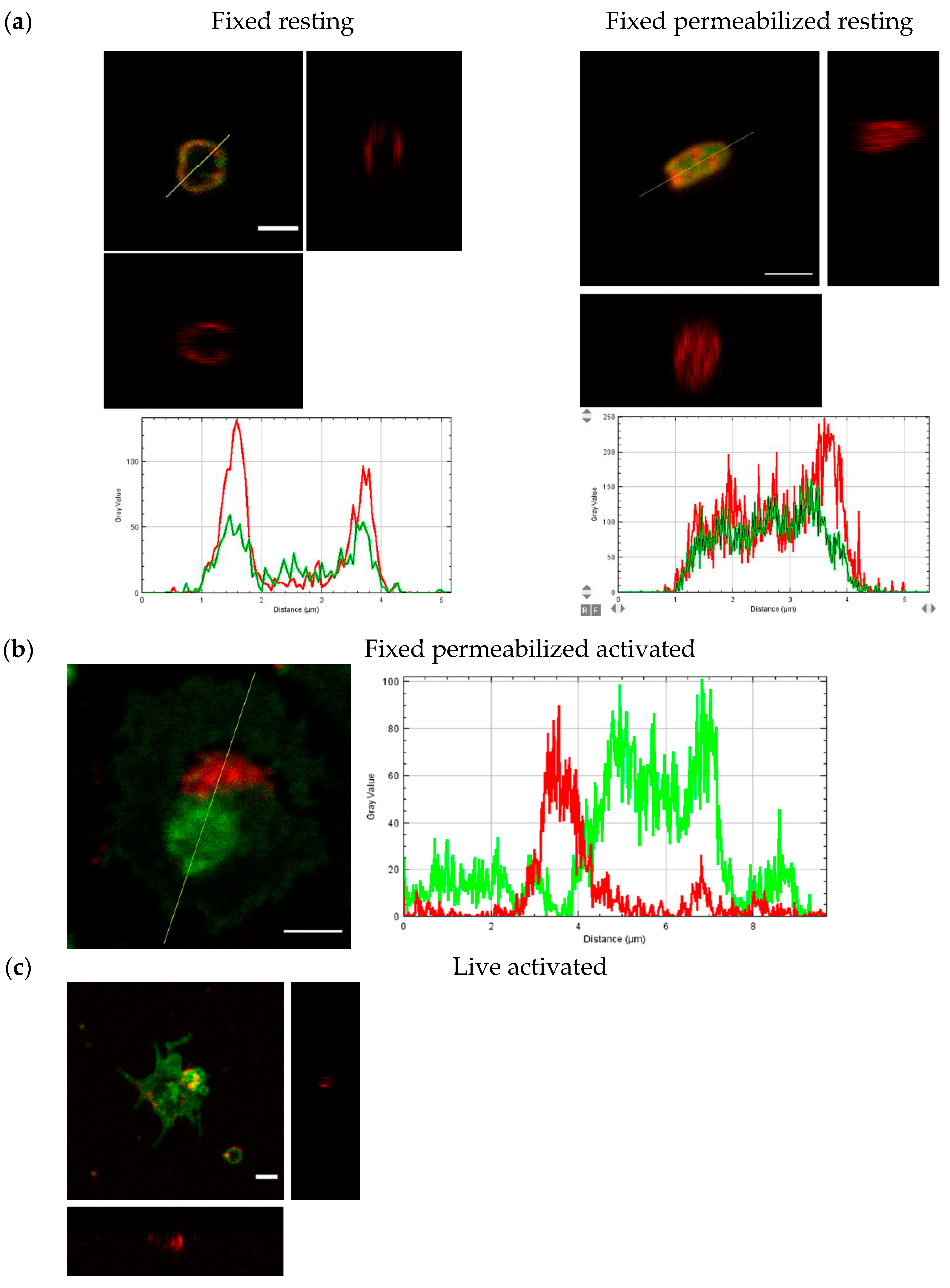 Membranes 11 00218 g008